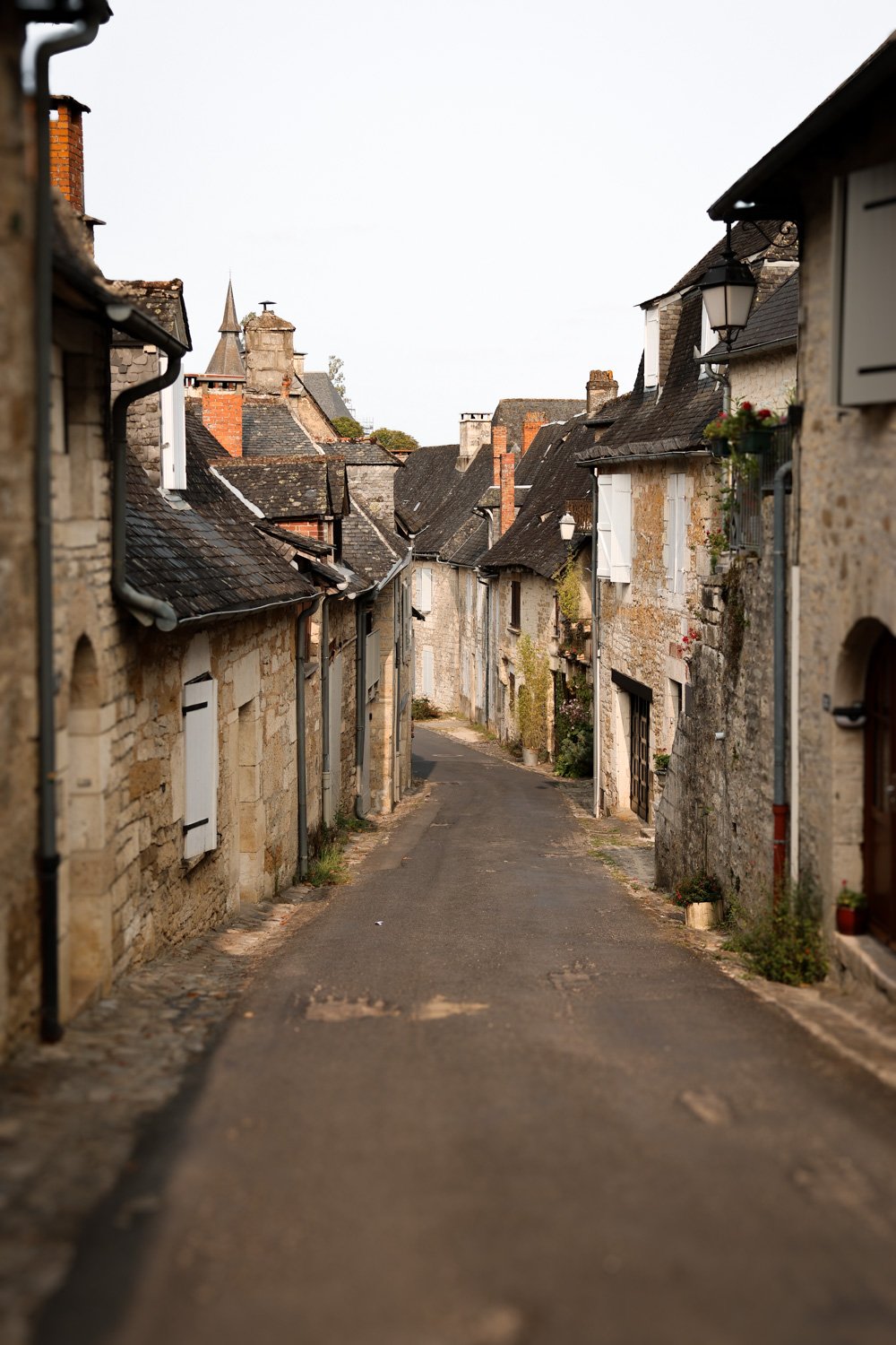 VOYAGE CORREZE CARNET SAUVAGE-128.jpg