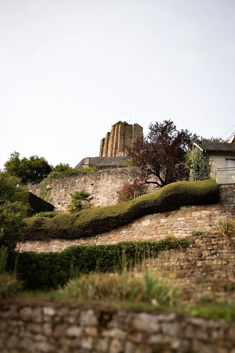 VOYAGE CORREZE CARNET SAUVAGE-132.jpg