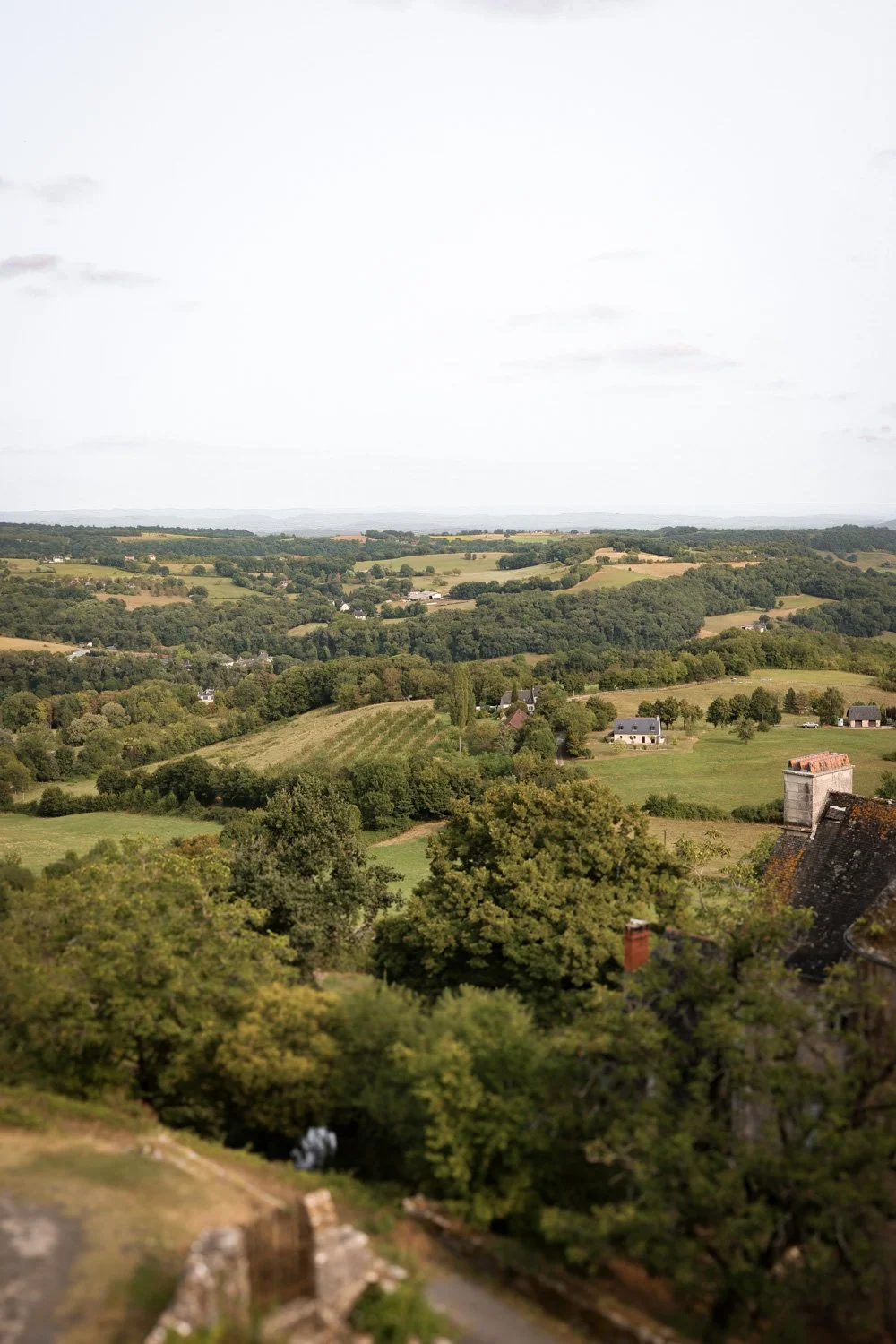 VOYAGE CORREZE CARNET SAUVAGE-135.jpg