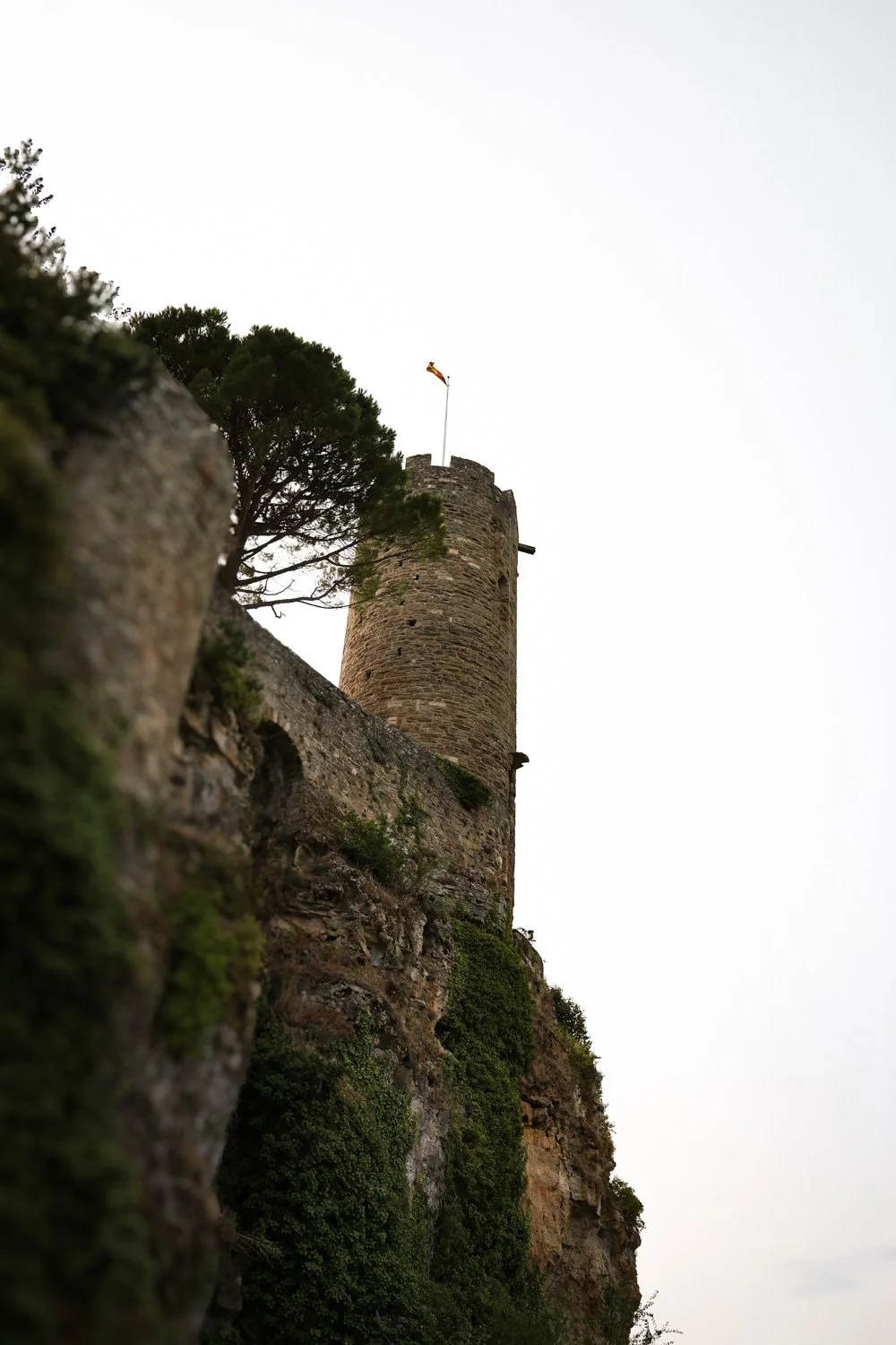 VOYAGE CORREZE CARNET SAUVAGE-139.jpg