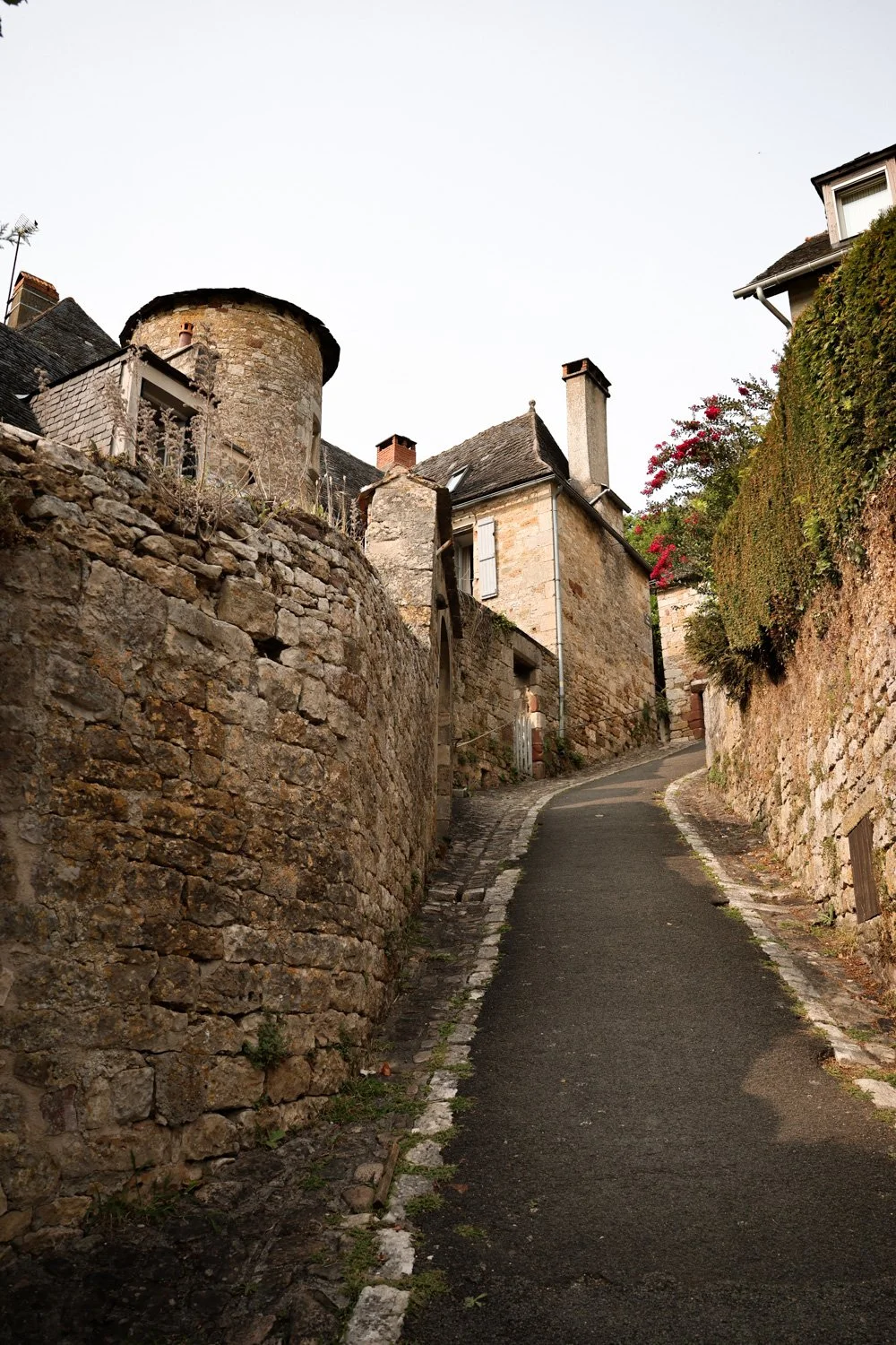 VOYAGE CORREZE CARNET SAUVAGE-144.jpg