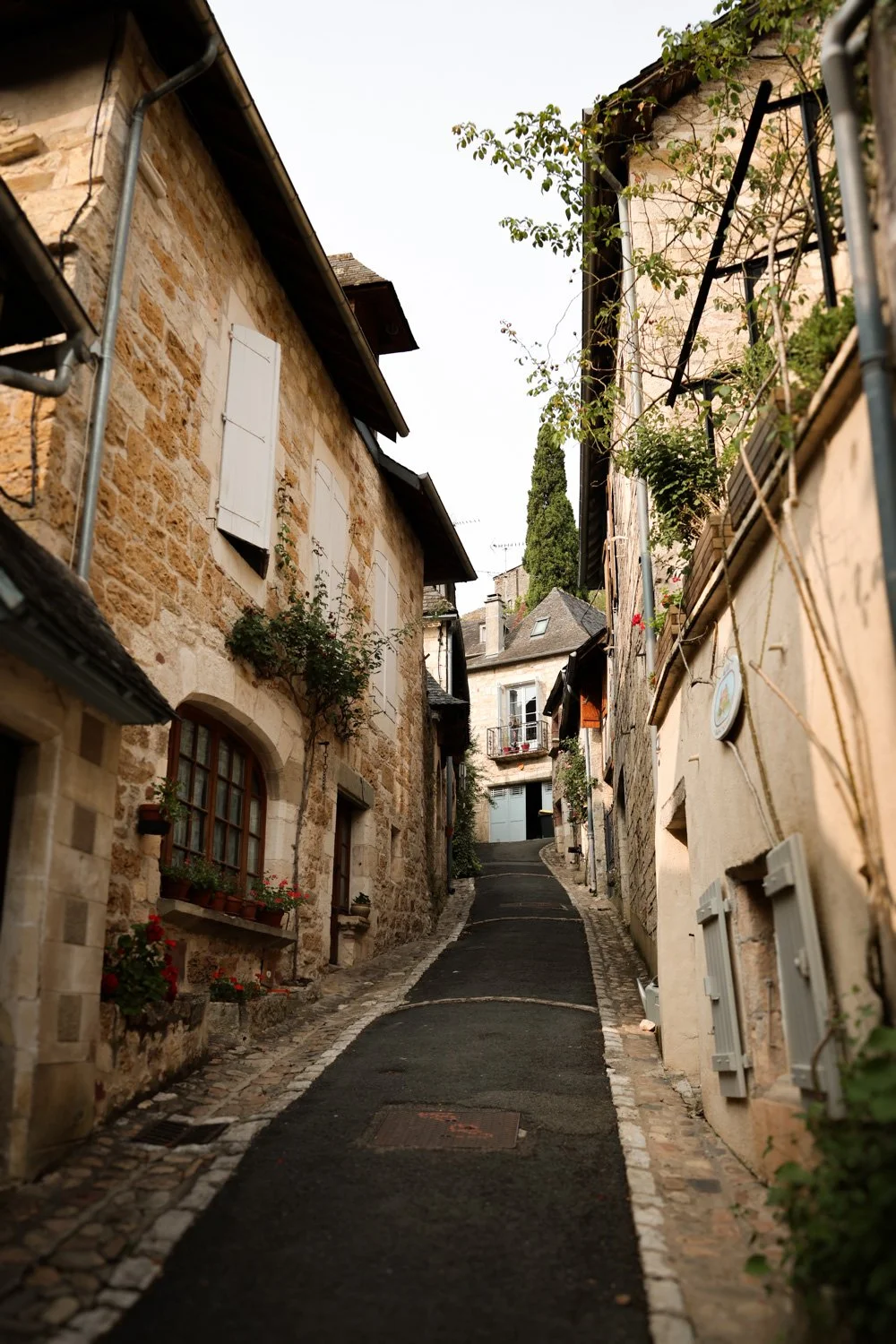 VOYAGE CORREZE CARNET SAUVAGE-145.jpg