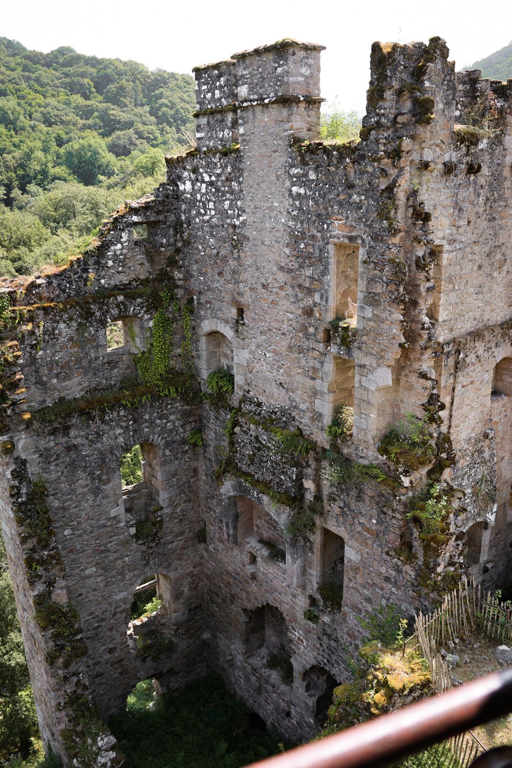 VOYAGE CORREZE CARNET SAUVAGE-69.jpg