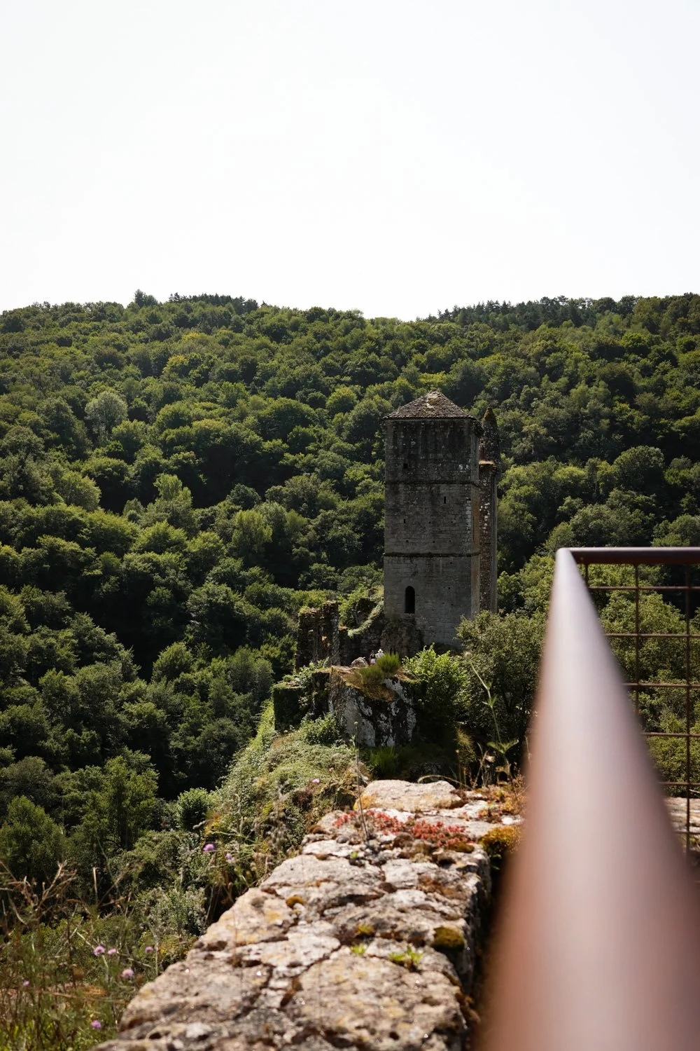 VOYAGE CORREZE CARNET SAUVAGE-70.jpg