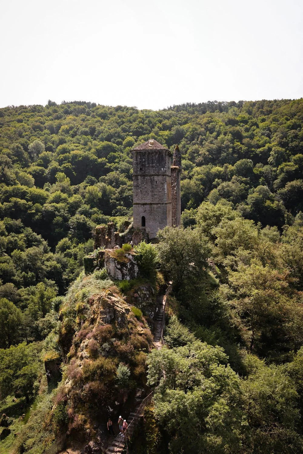 VOYAGE CORREZE CARNET SAUVAGE-71.jpg