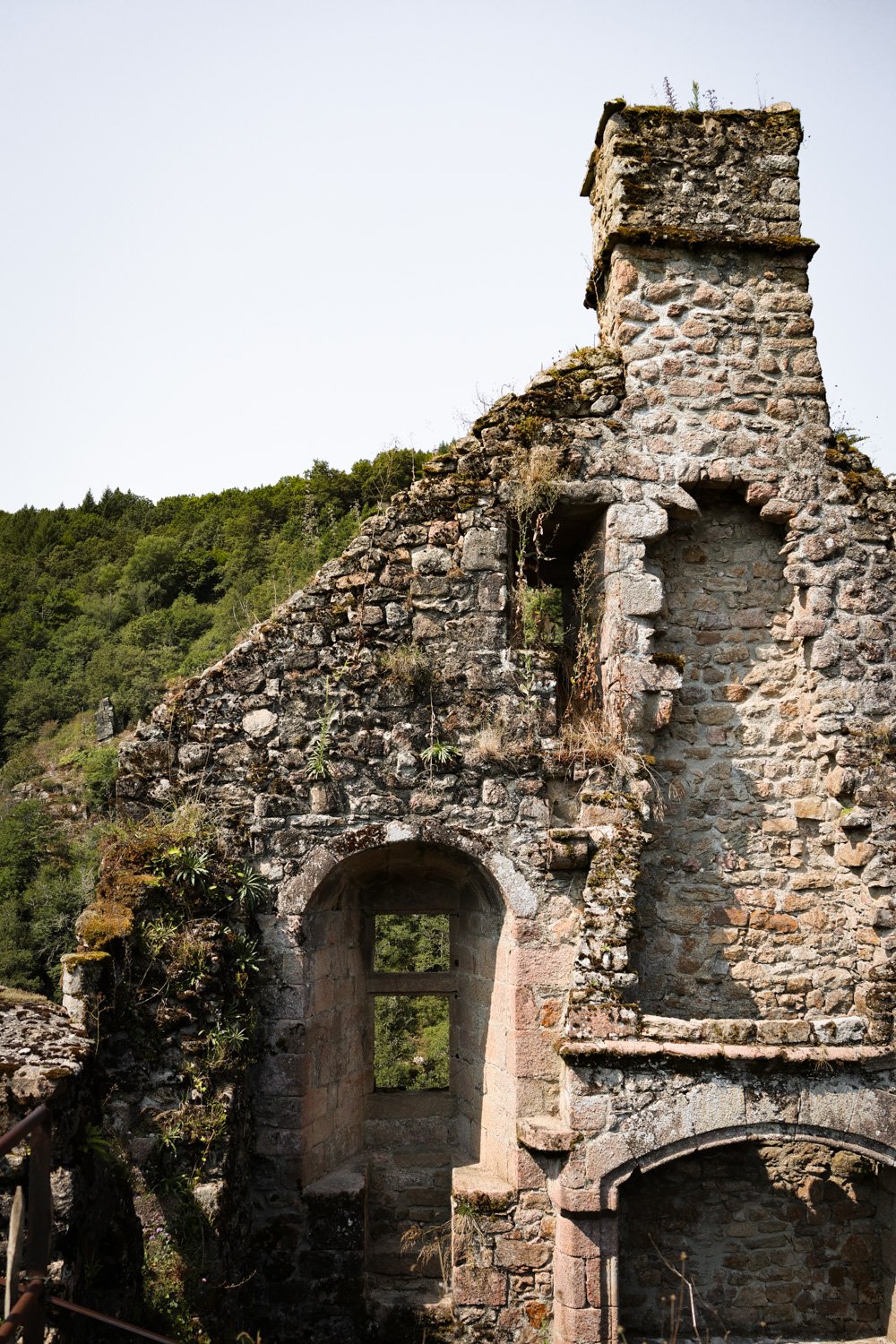 VOYAGE CORREZE CARNET SAUVAGE-72.jpg