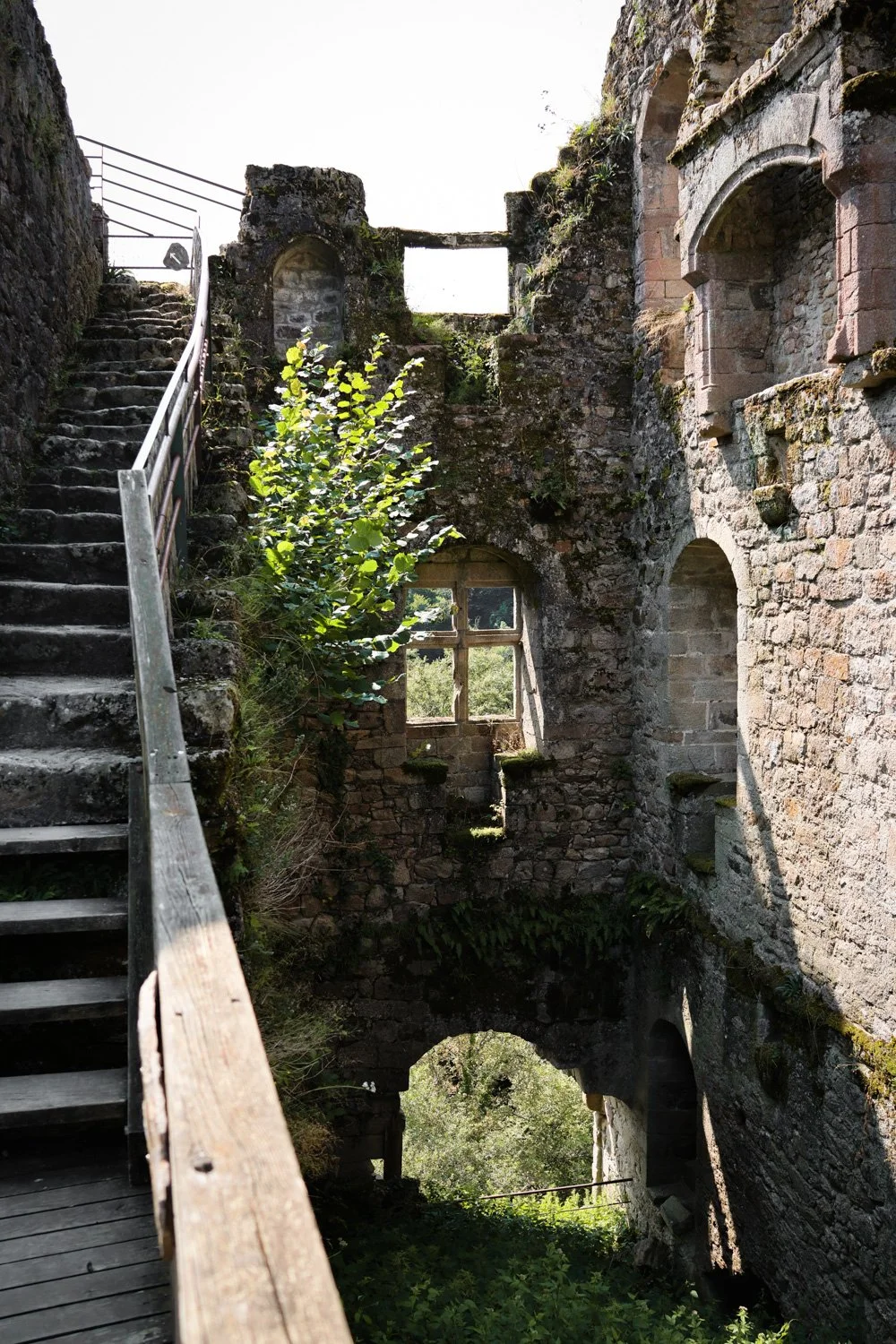 VOYAGE CORREZE CARNET SAUVAGE-75.jpg