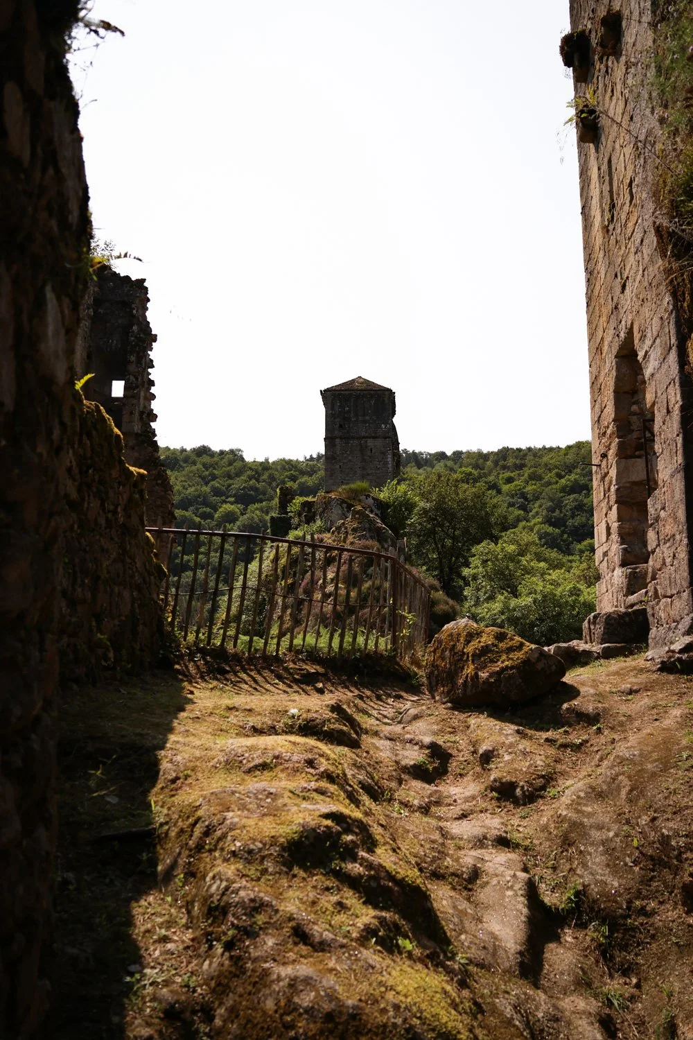 VOYAGE CORREZE CARNET SAUVAGE-76.jpg