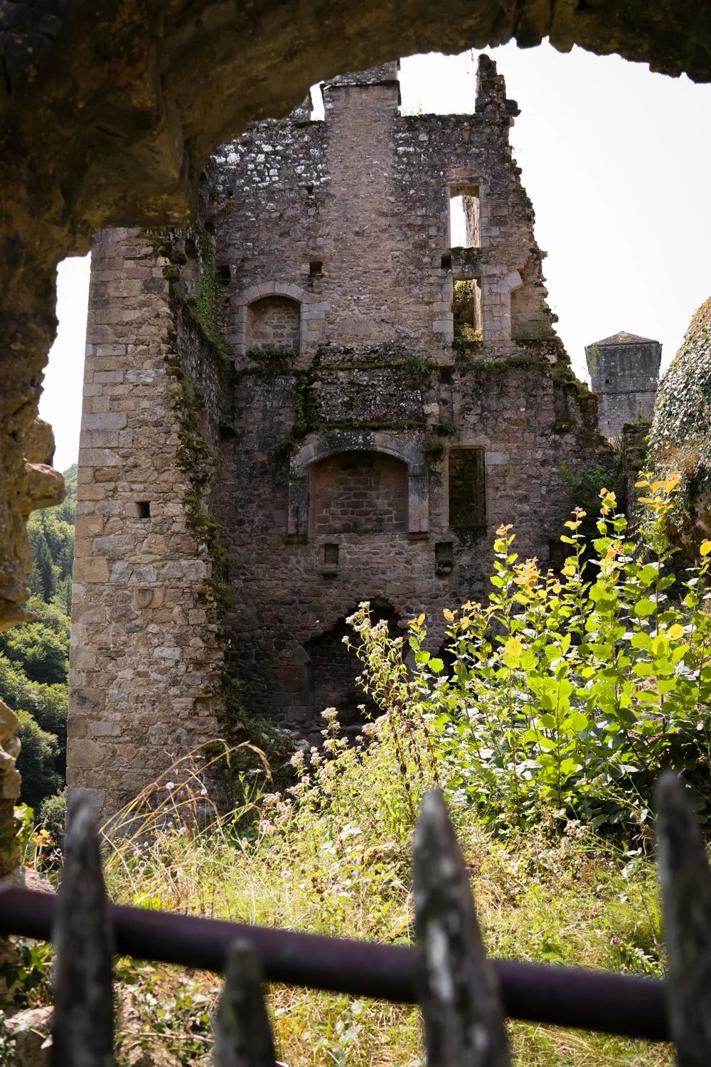 VOYAGE CORREZE CARNET SAUVAGE-77.jpg