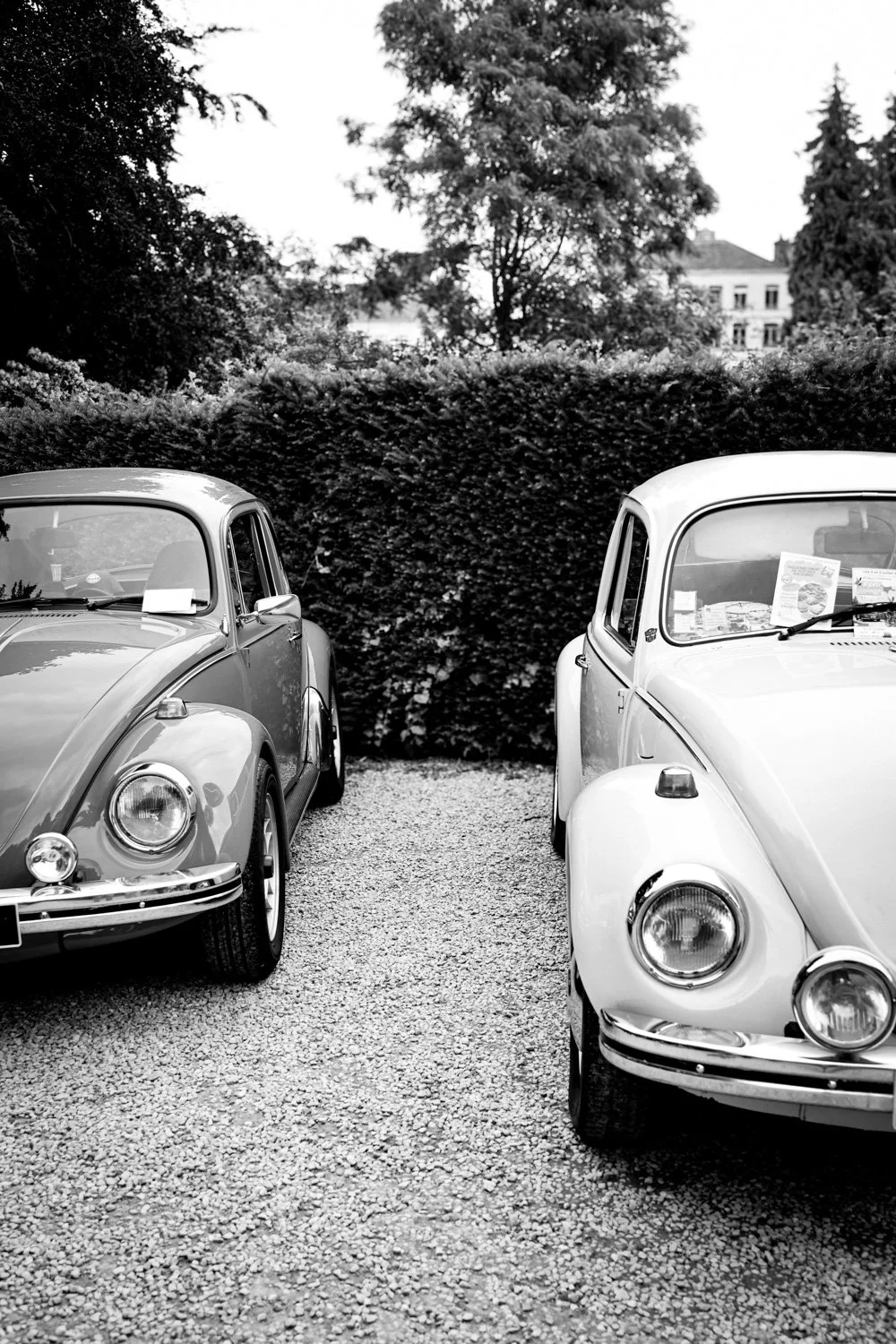 reportage photo audomobile   carnet sauvage-23.jpg