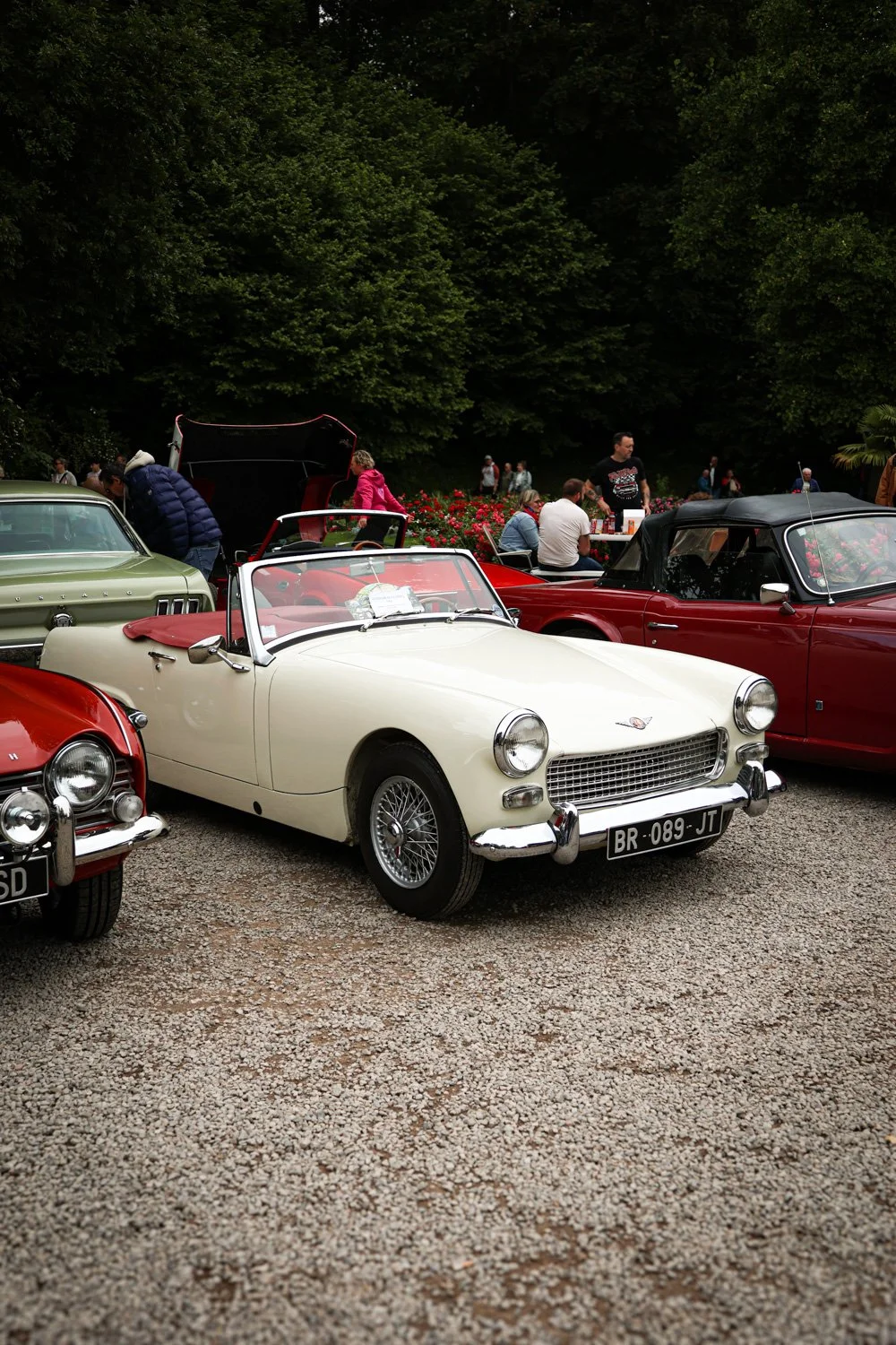 reportage photo audomobile   carnet sauvage-26.jpg