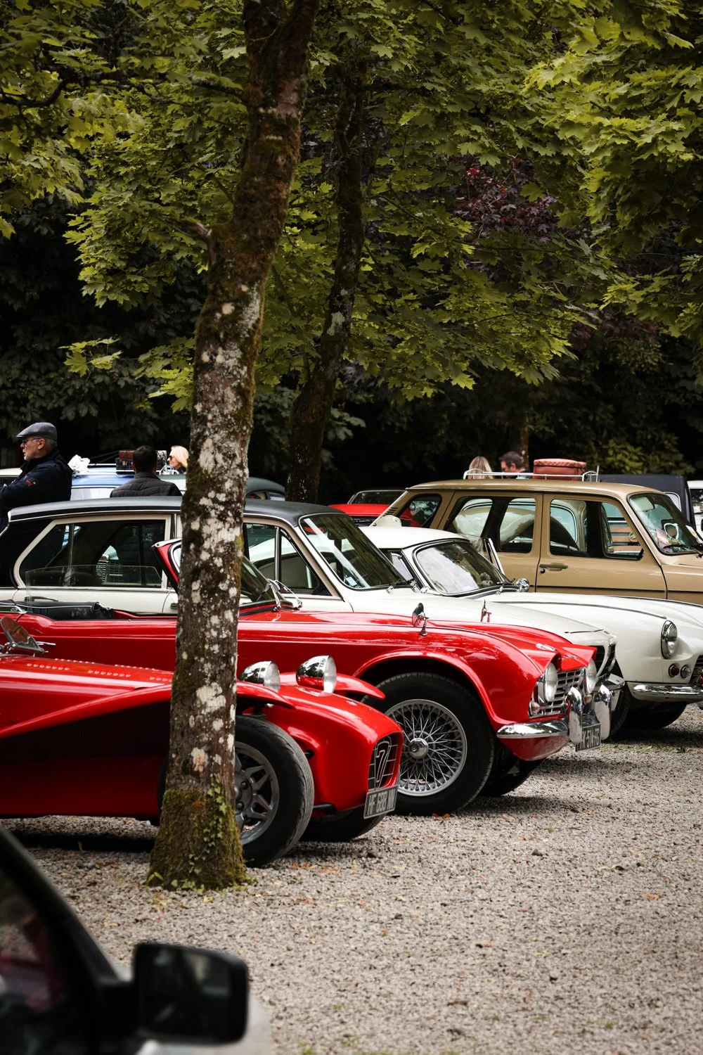 reportage photo audomobile   carnet sauvage-120.jpg