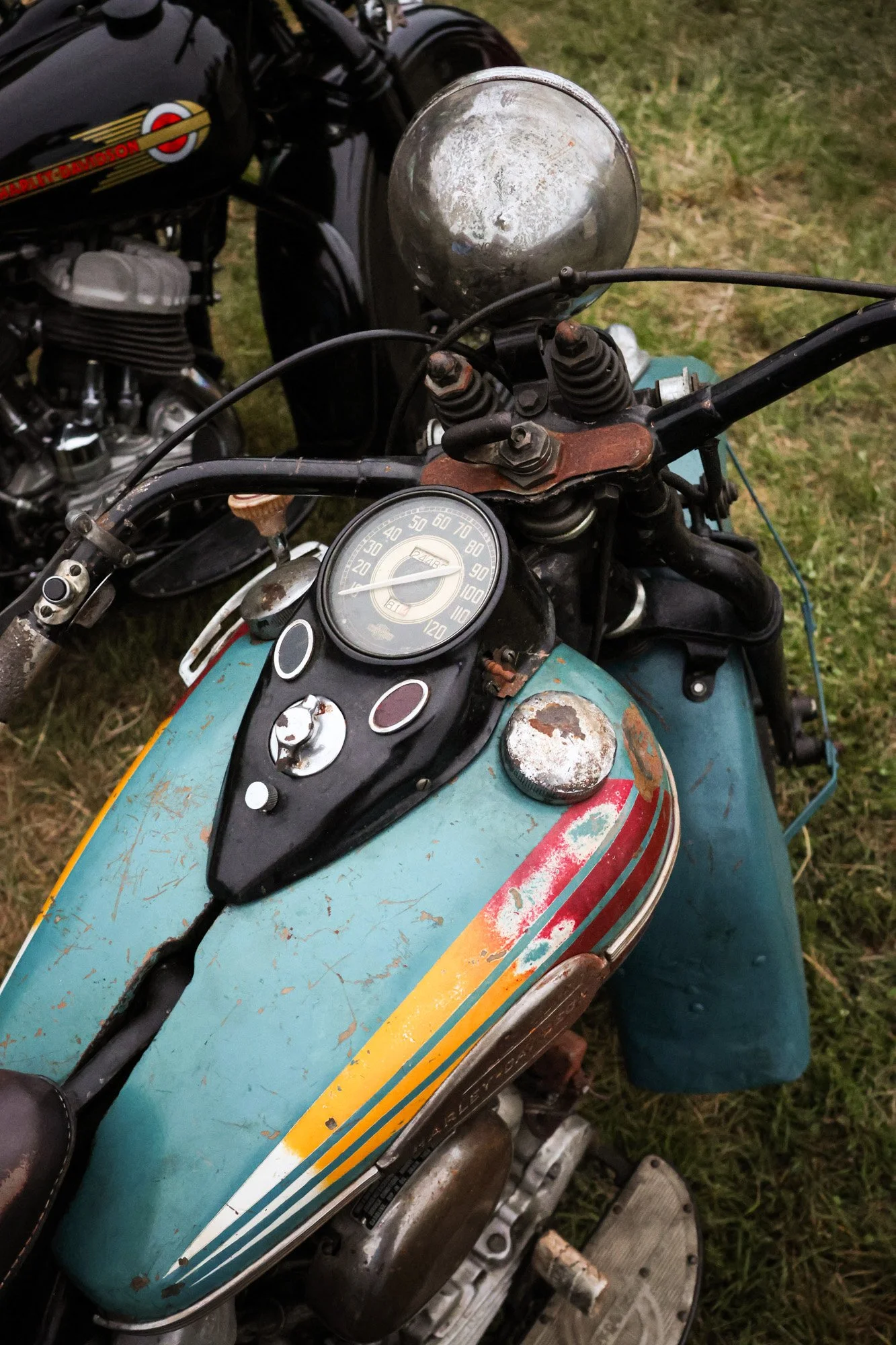 old race 9 - carnet sauvage-35.jpg