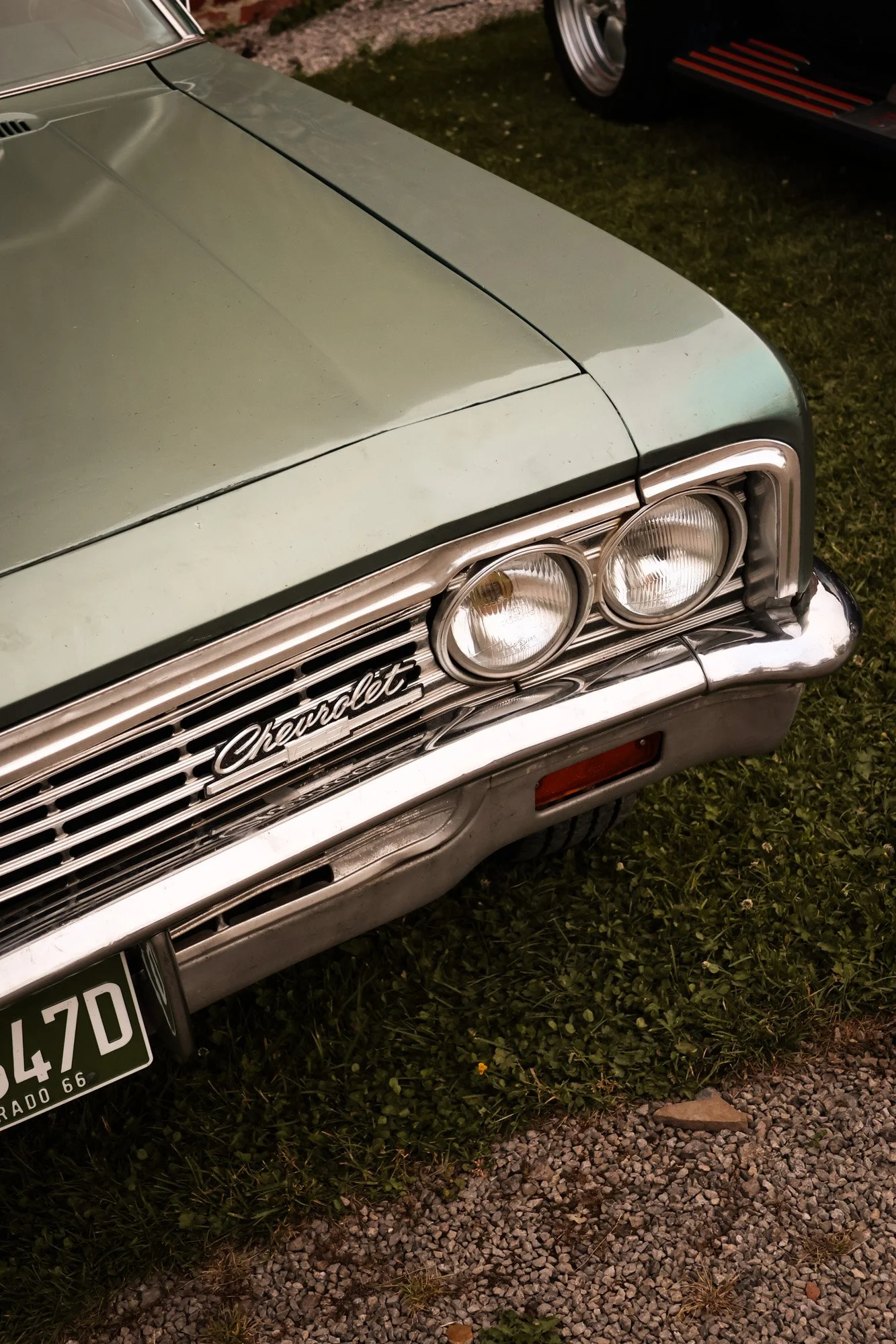 the old race - carnet sauvage-62.jpg