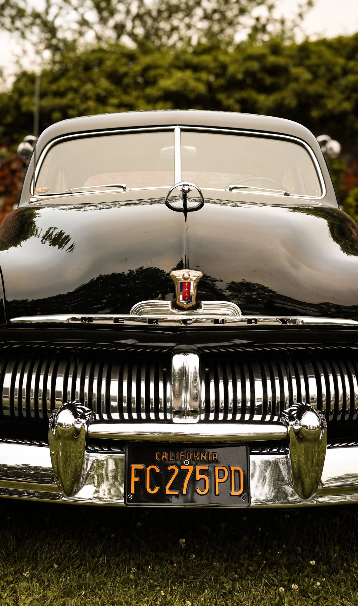 the old race - carnet sauvage-69.jpg