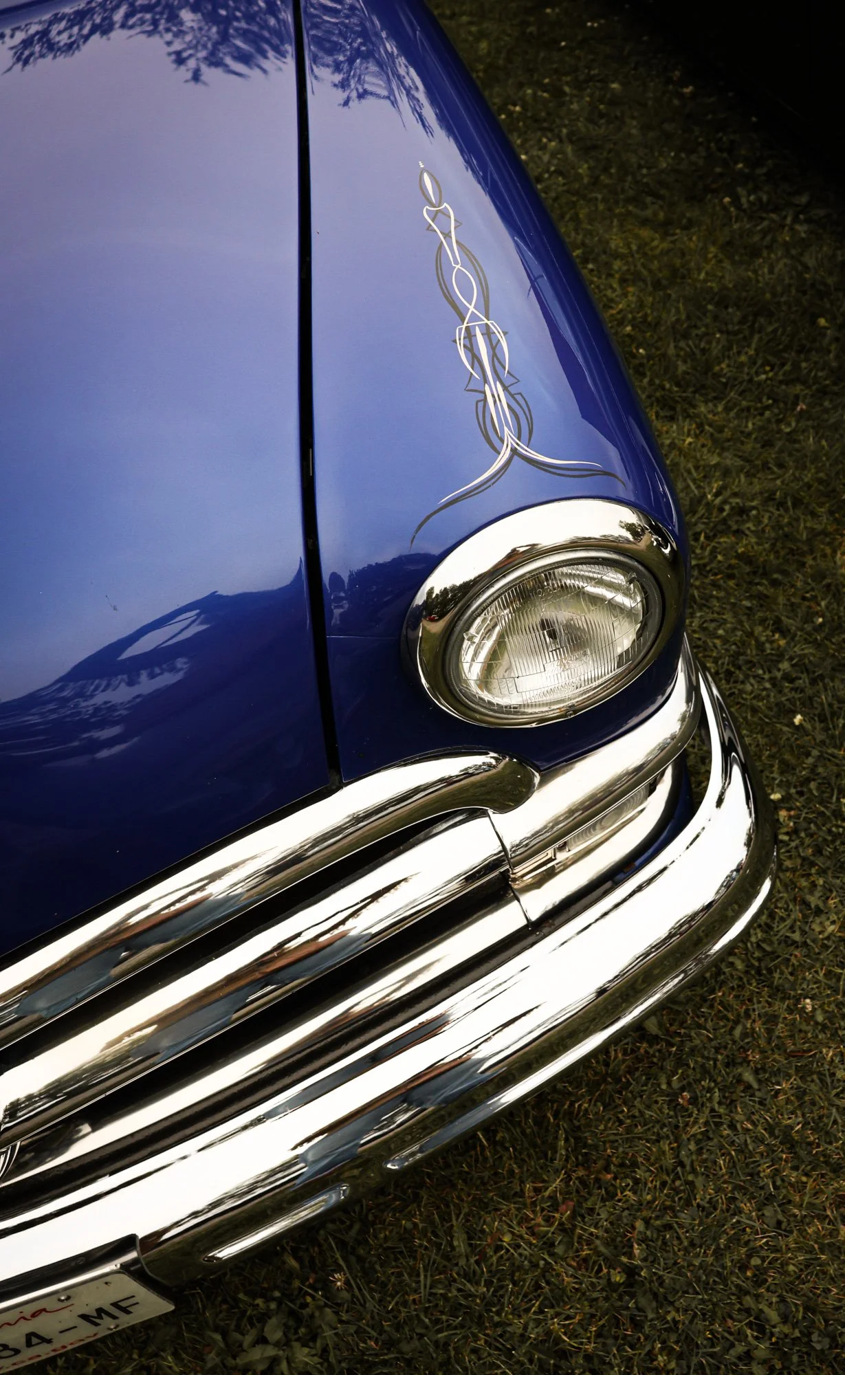 the old race - carnet sauvage-70.jpg