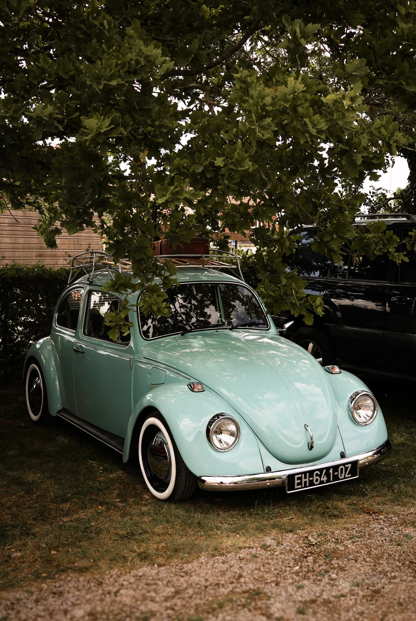 the old race 1 - carnet sauvage-19.jpg