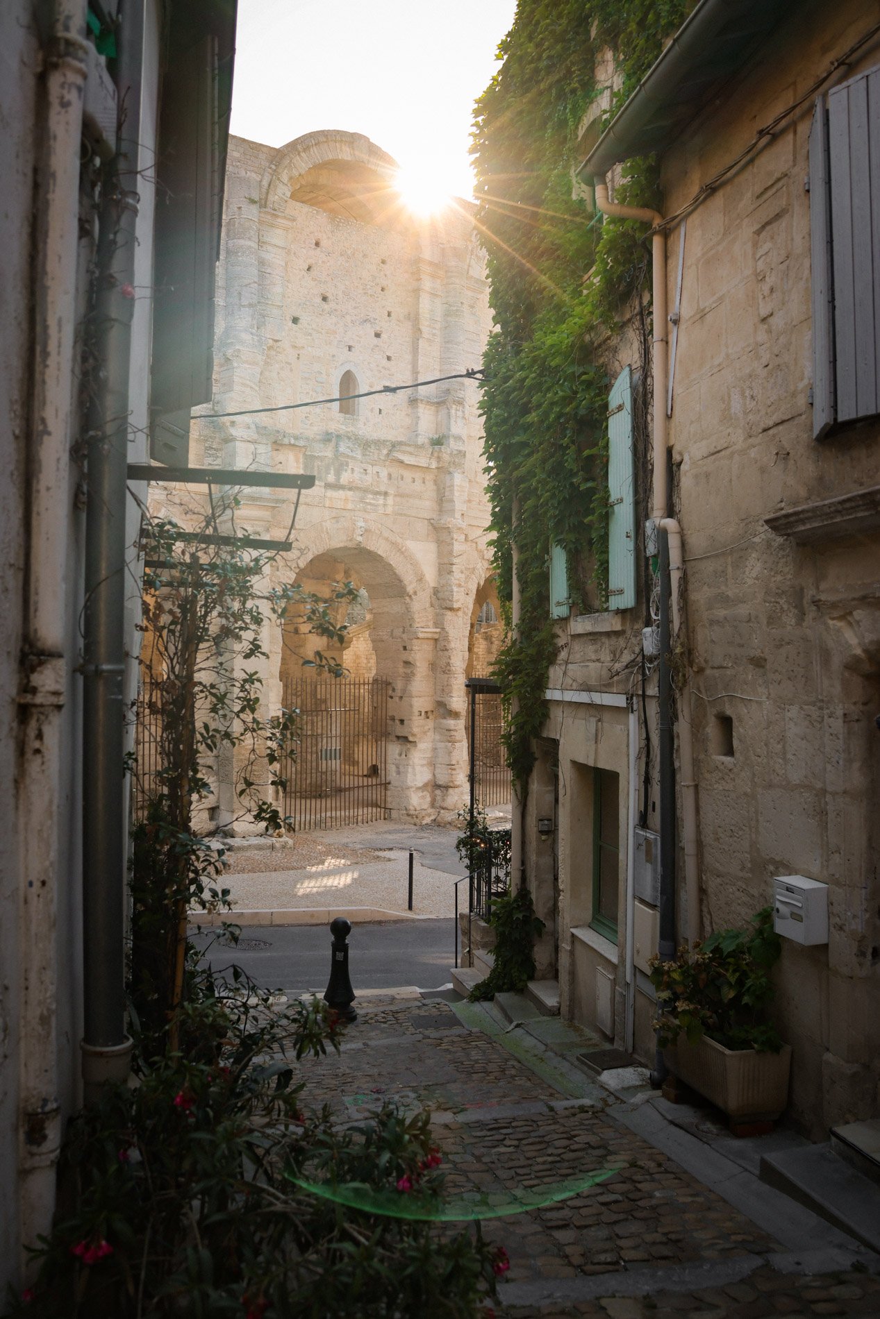 arles - carnet sauvage-6.jpg