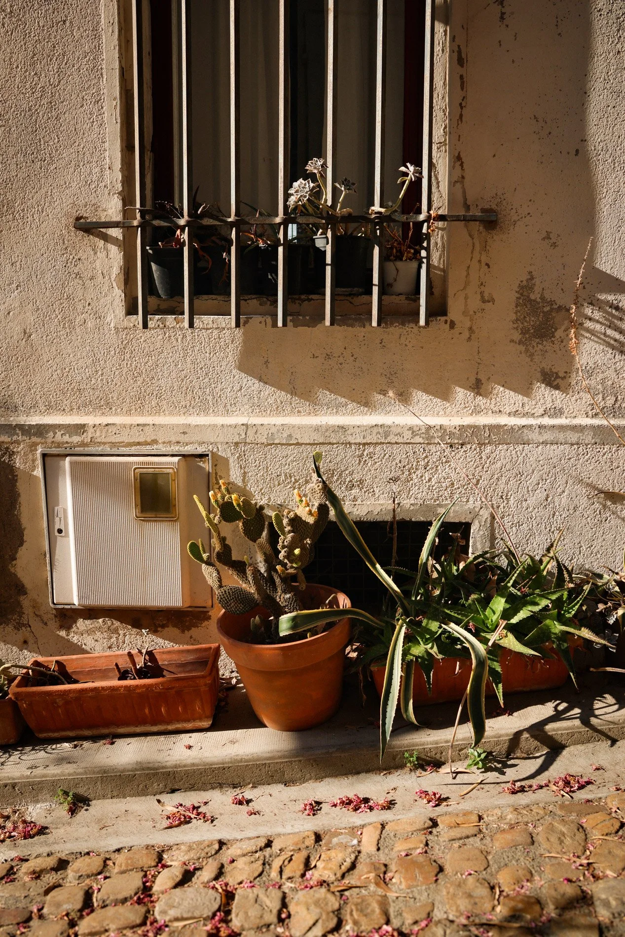 arles - carnet sauvage-9.jpg