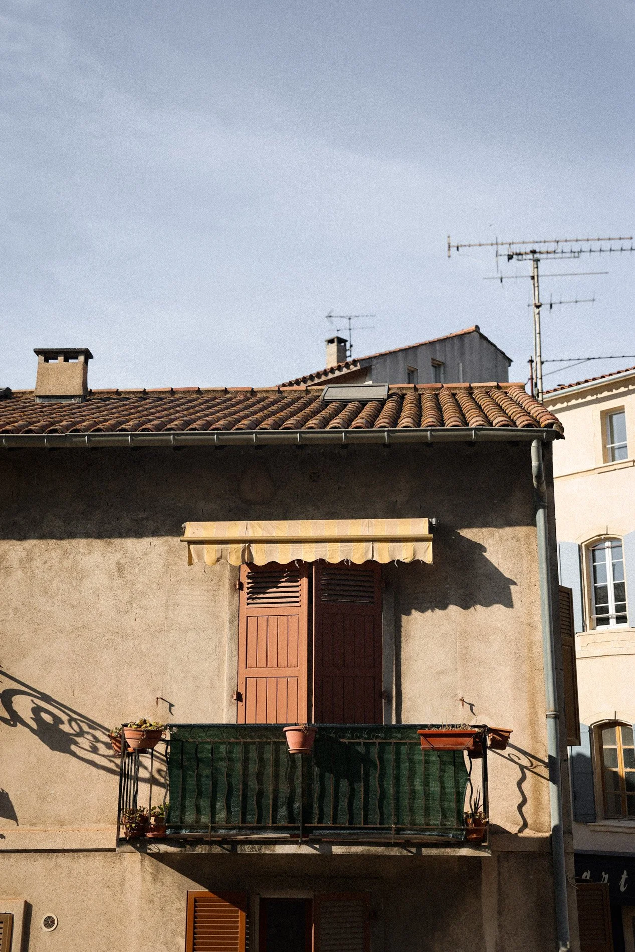 arles - carnet sauvage-17.jpg