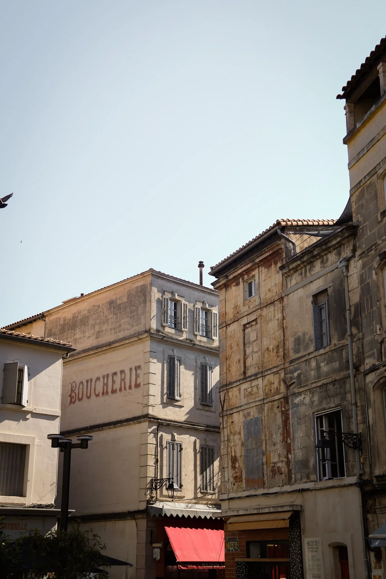 arles - carnet sauvage-35.jpg