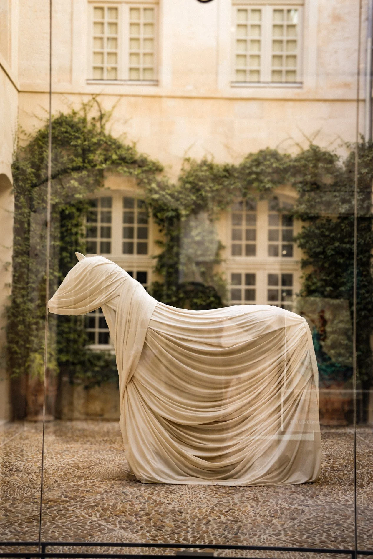 arles - carnet sauvage-50.jpg