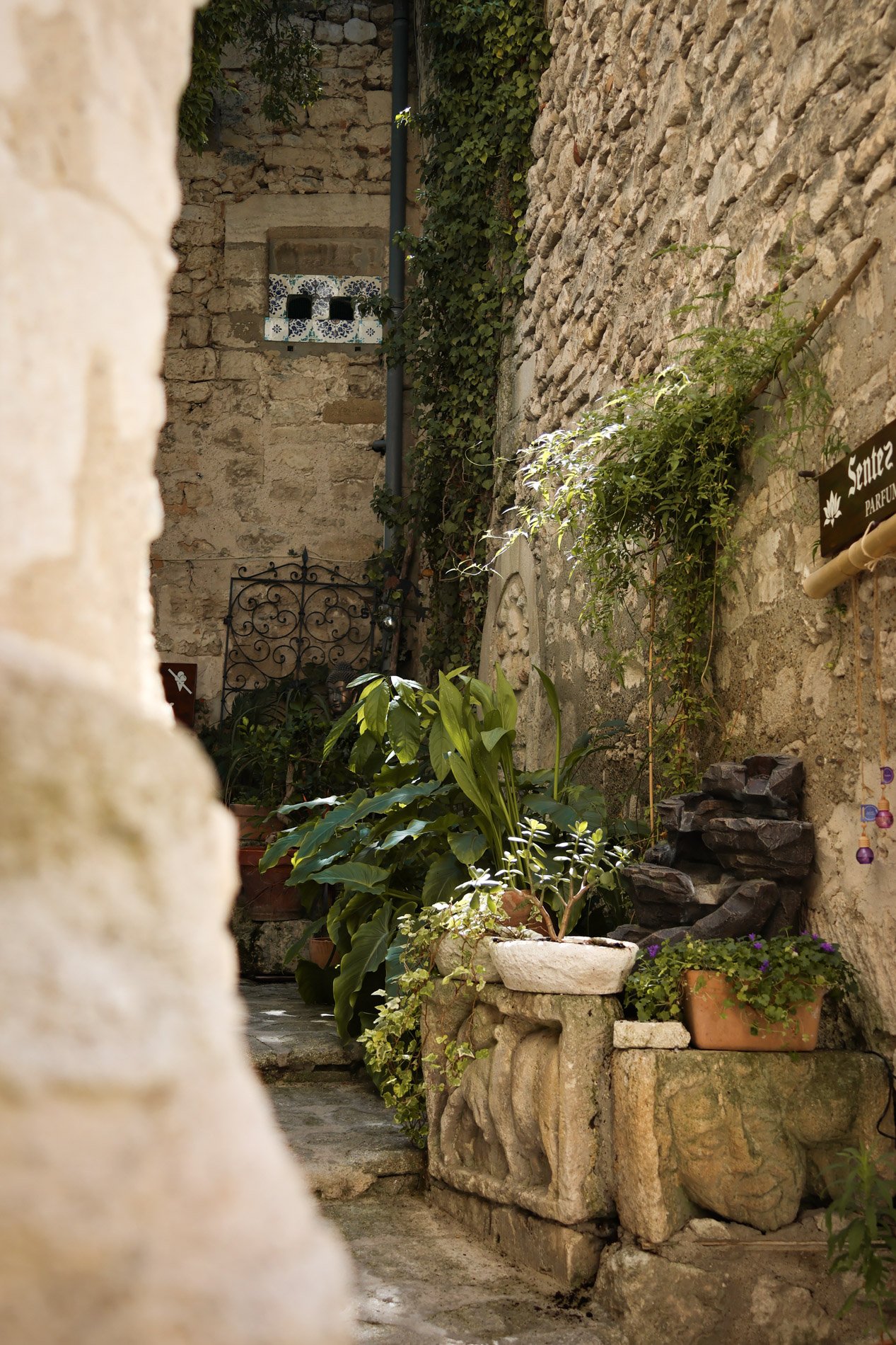 BAUX DE PROVENCE  - carnet sauvage-5.jpg