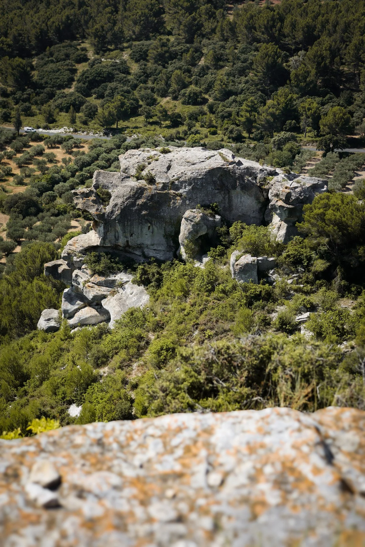 BAUX DE PROVENCE  - carnet sauvage-12.jpg
