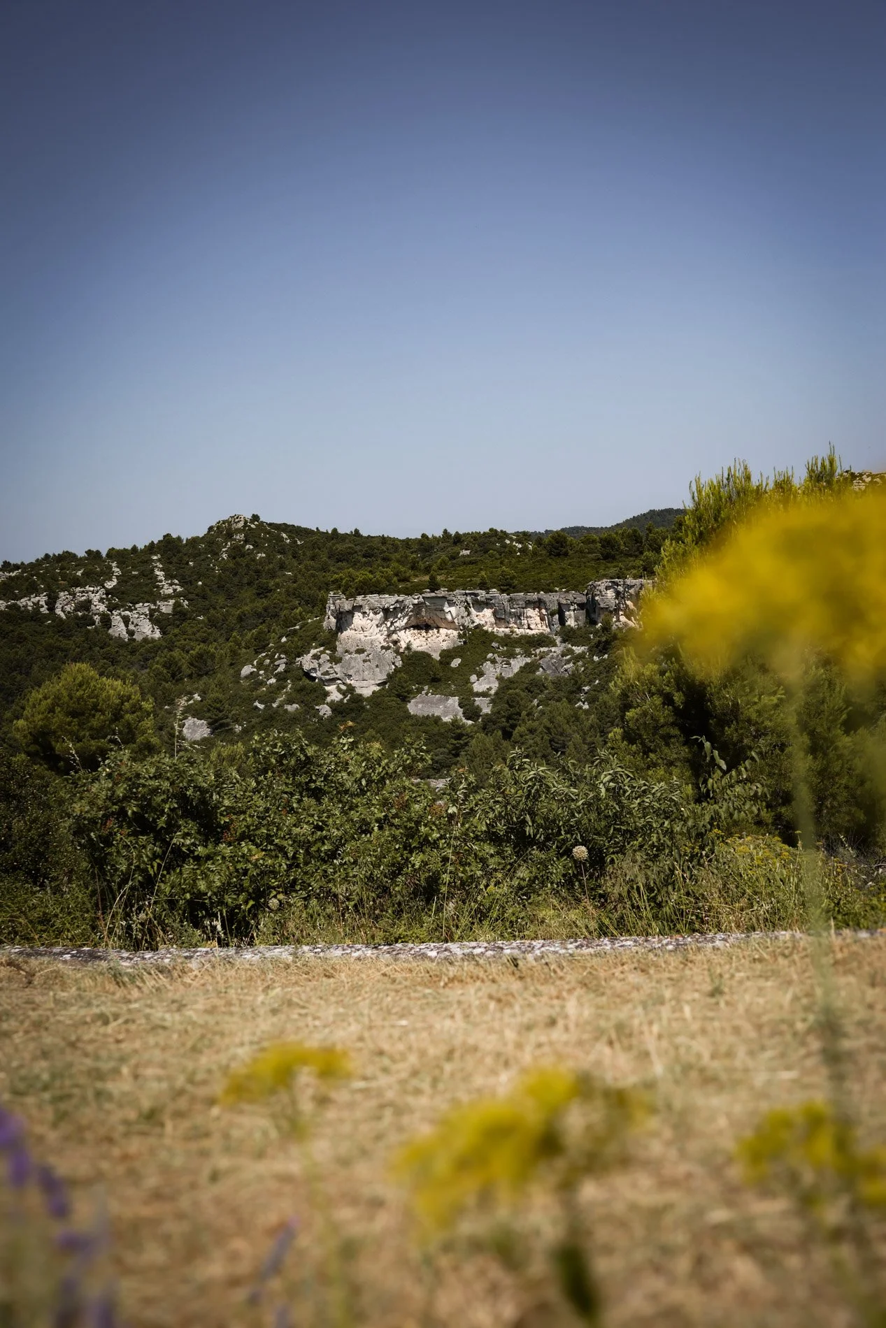 BAUX DE PROVENCE  - carnet sauvage-15.jpg