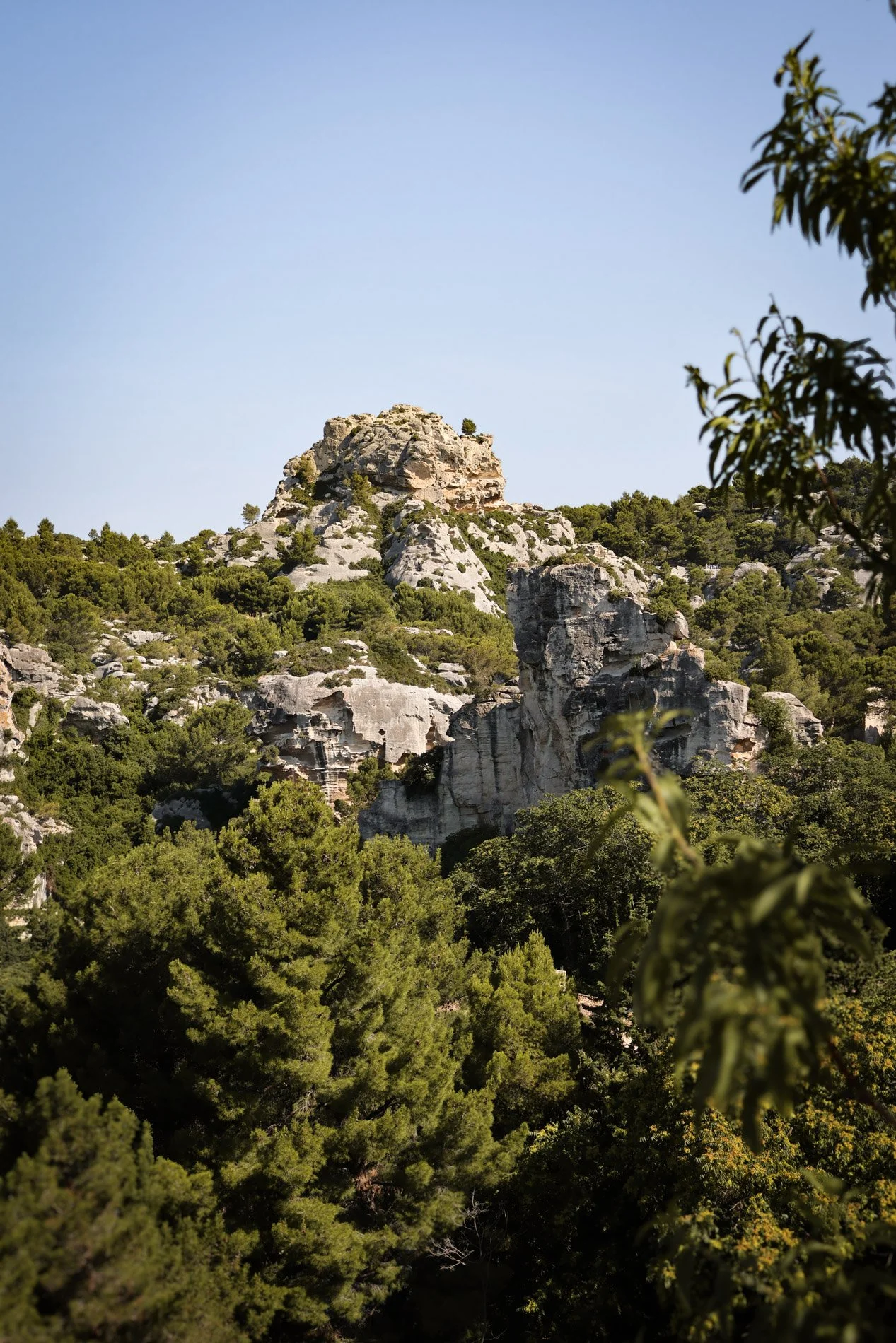 BAUX DE PROVENCE  - carnet sauvage-27.jpg