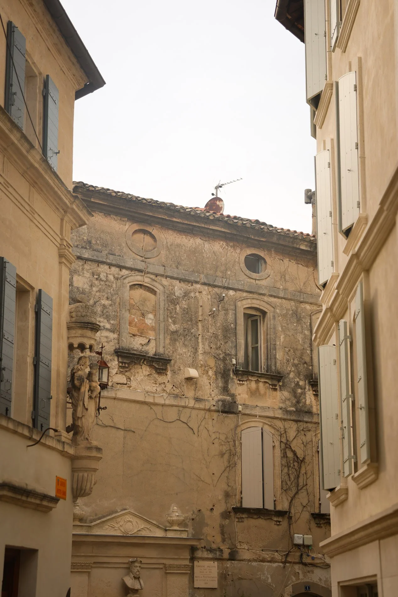 ST REMY DE PROVENCE  - carnet sauvage-9.jpg
