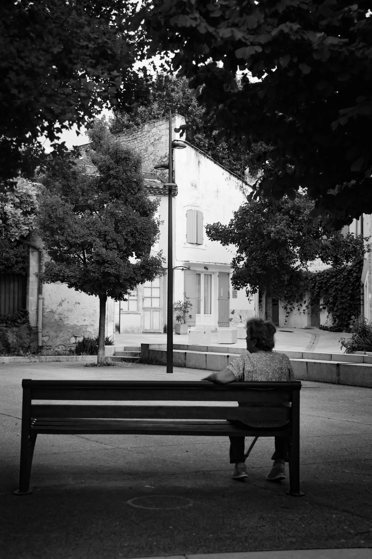 ST REMY DE PROVENCE  - carnet sauvage-13.jpg