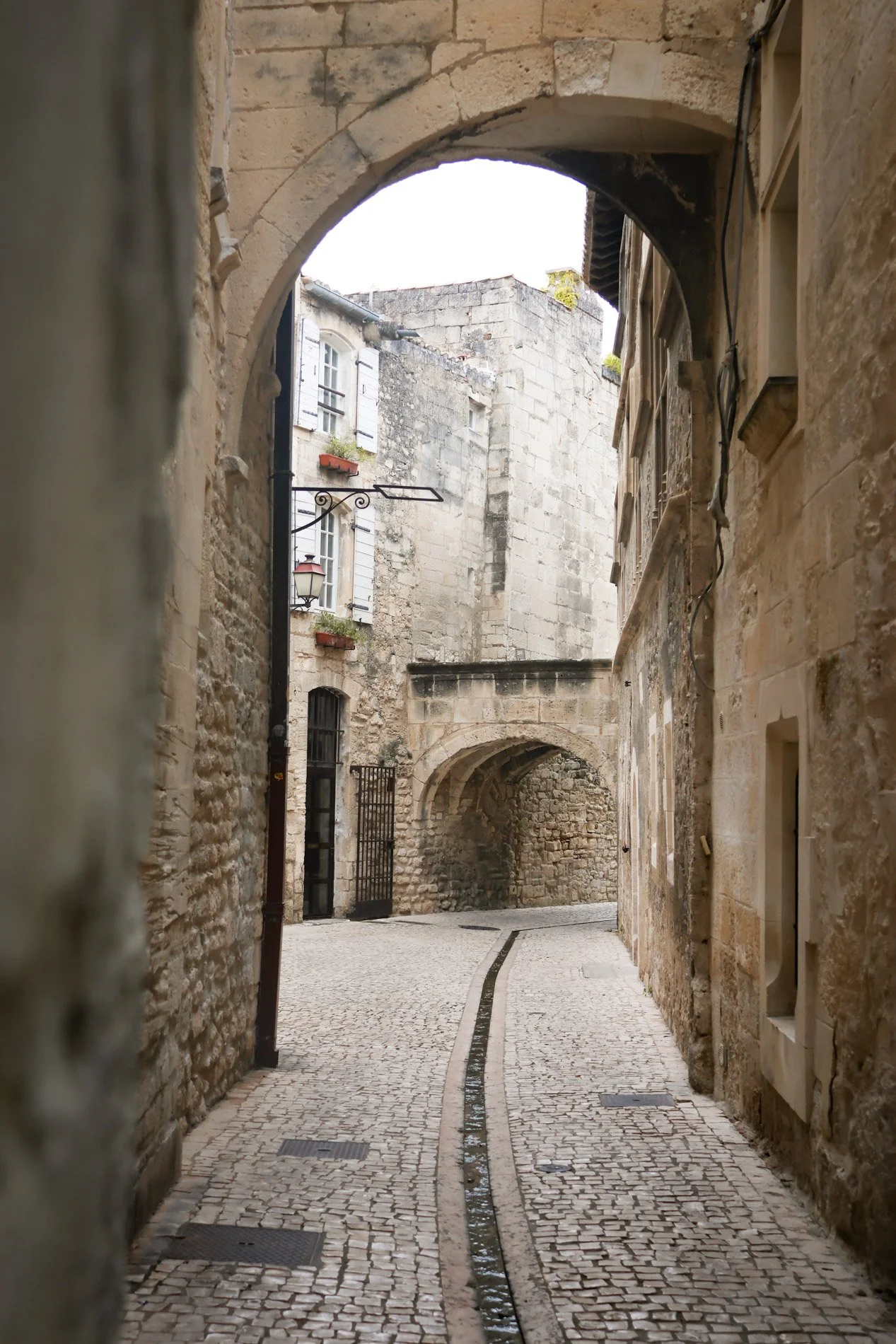 ST REMY DE PROVENCE  - carnet sauvage-15.jpg