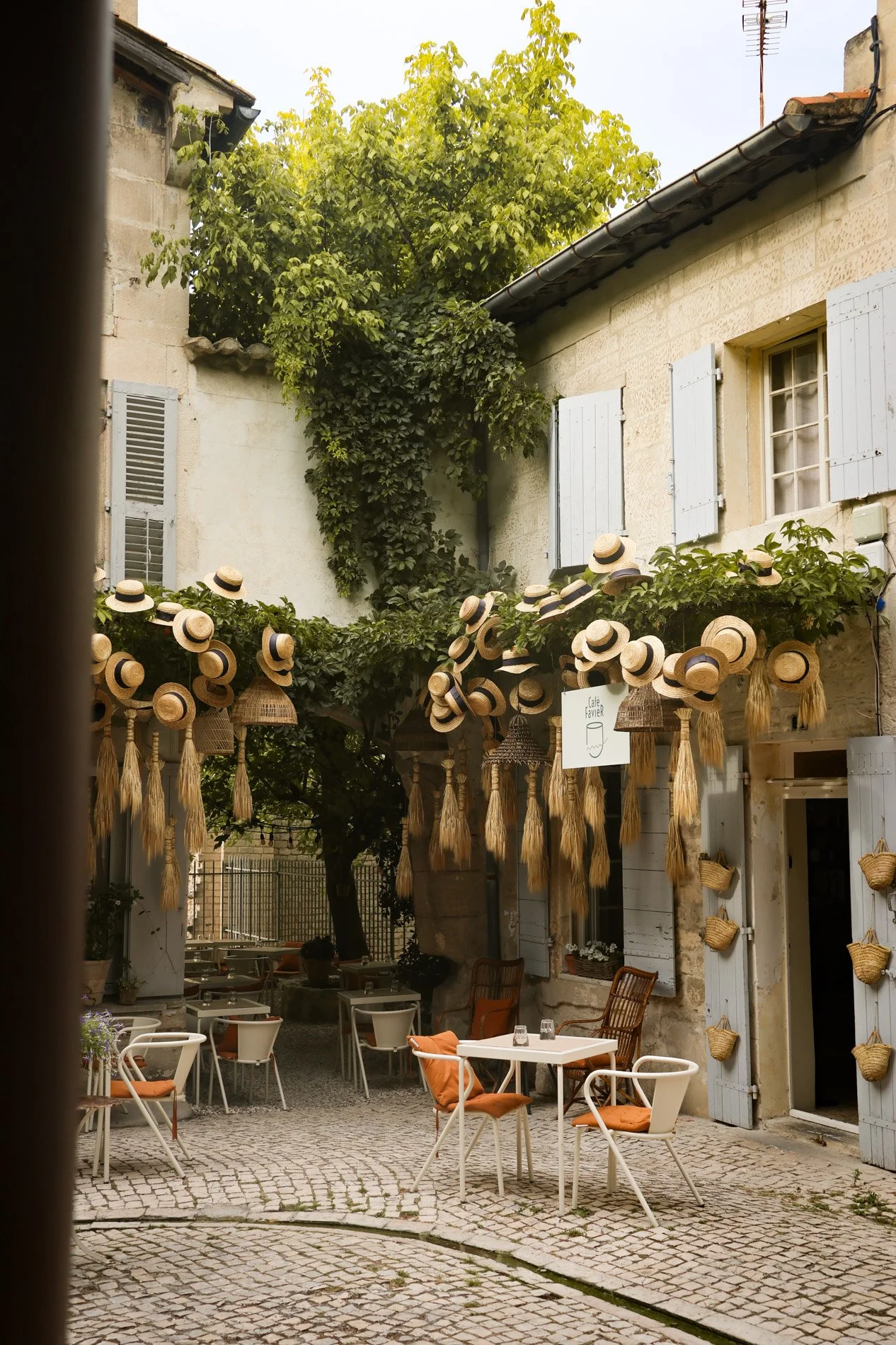ST REMY DE PROVENCE  - carnet sauvage-16.jpg