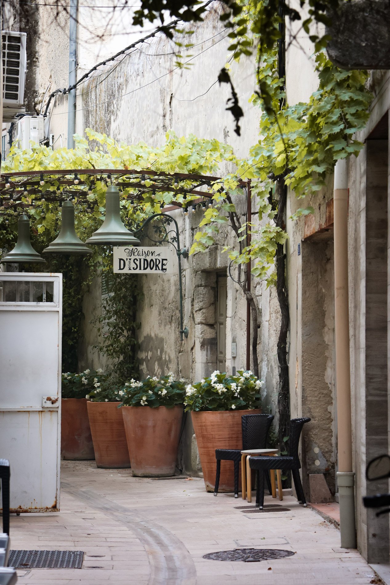 ST REMY DE PROVENCE  - carnet sauvage-19.jpg