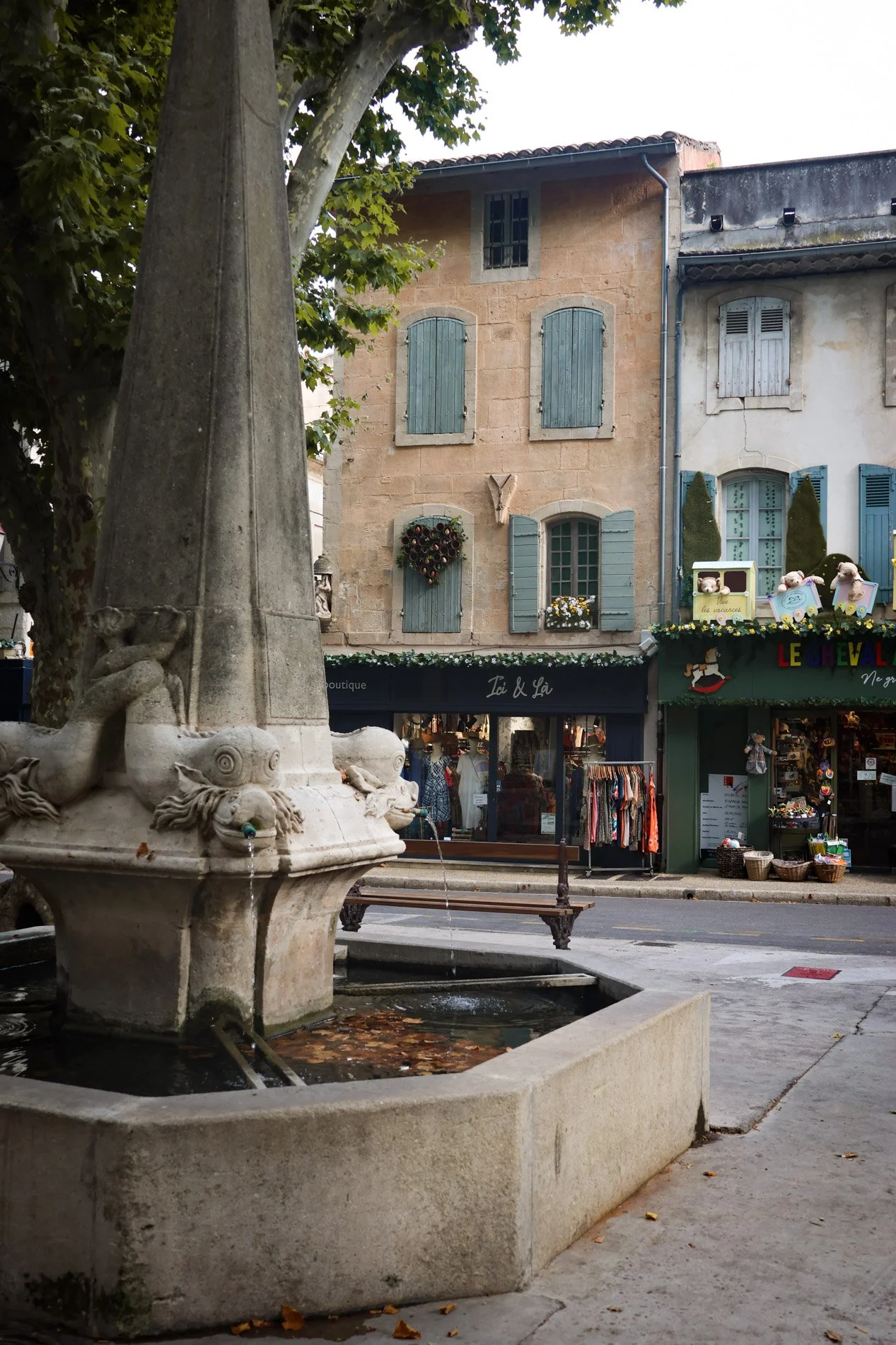 ST REMY DE PROVENCE  - carnet sauvage-26.jpg