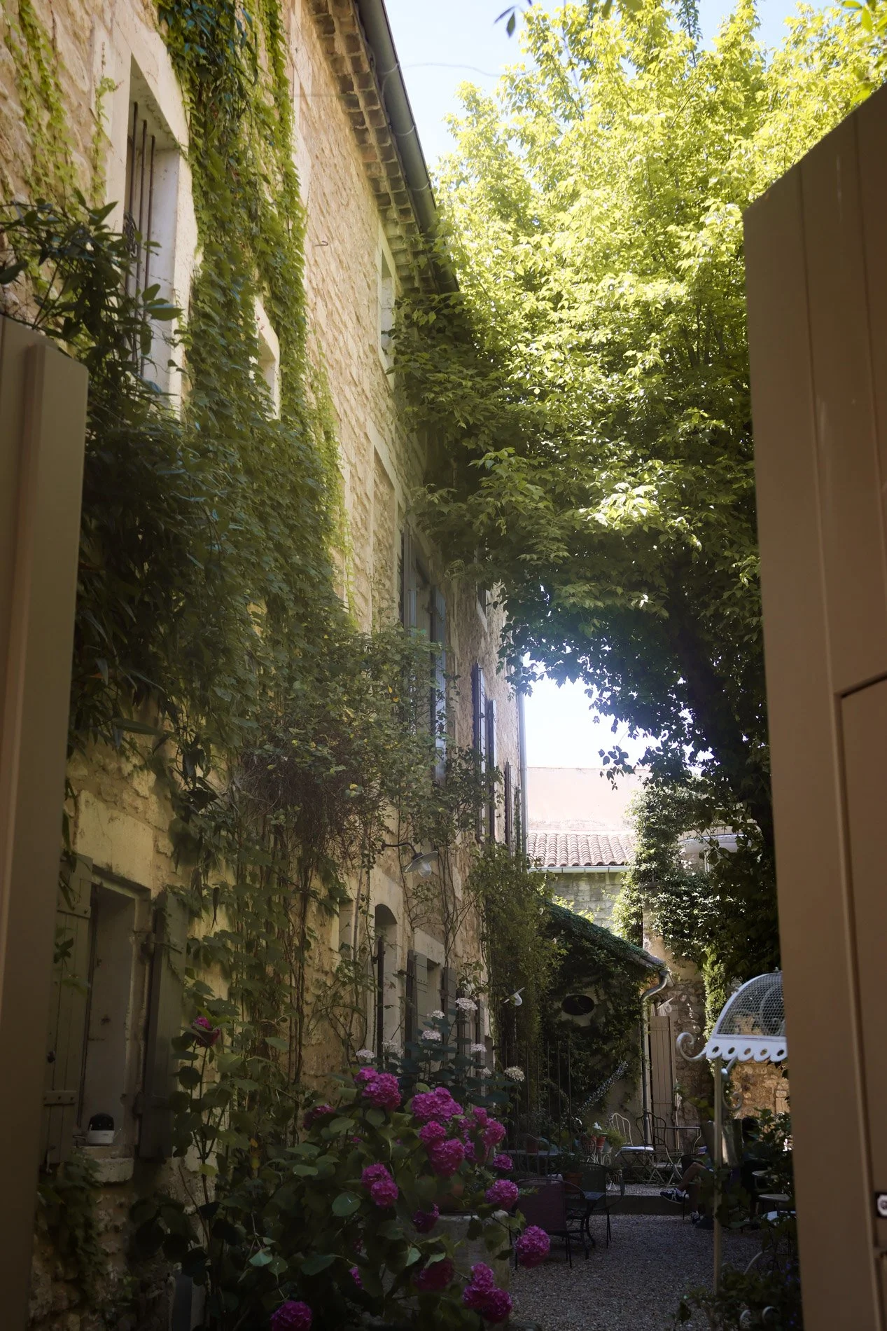 ST REMY DE PROVENCE  - carnet sauvage-28.jpg