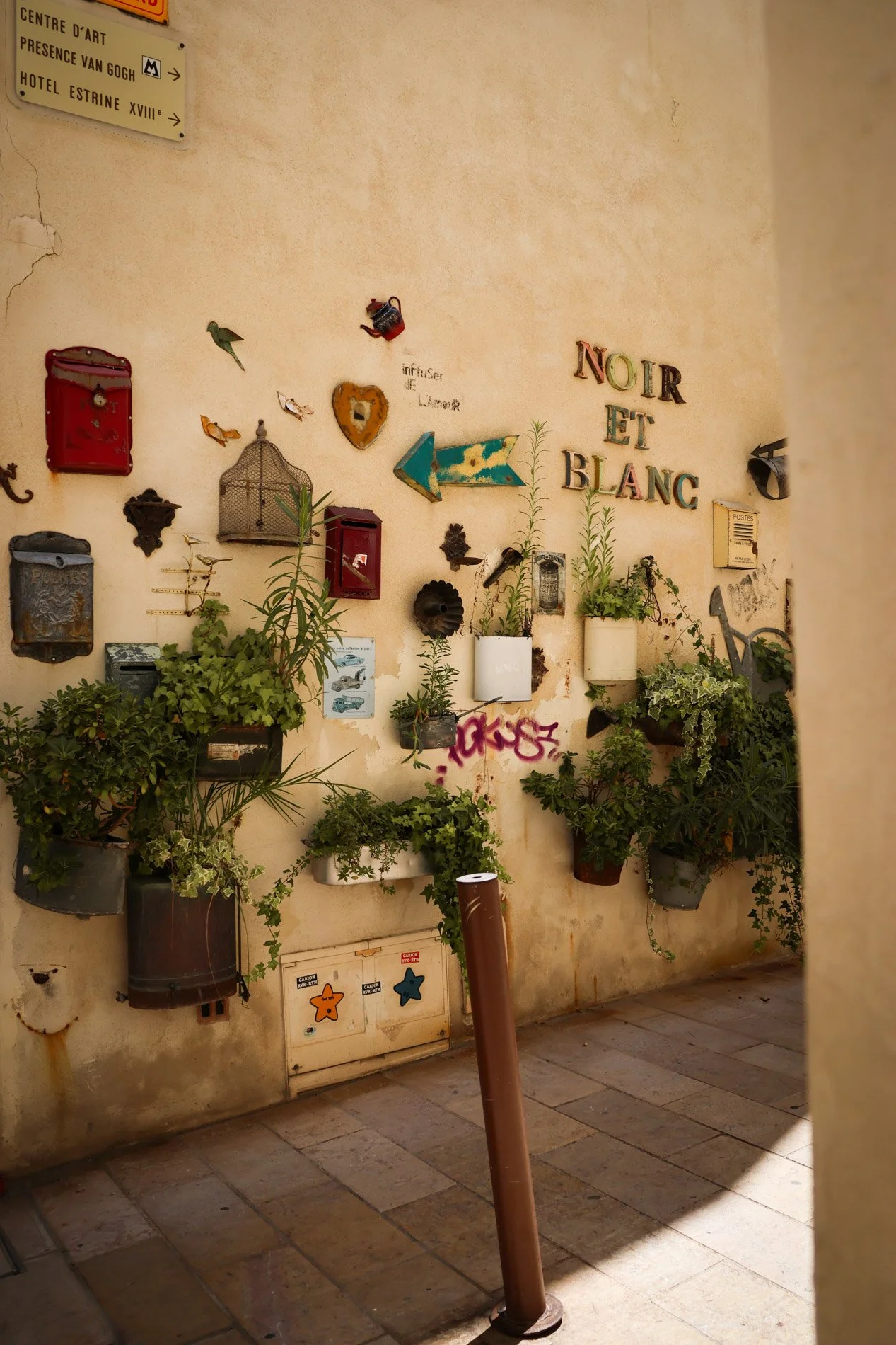 ST REMY DE PROVENCE  - carnet sauvage-32.jpg