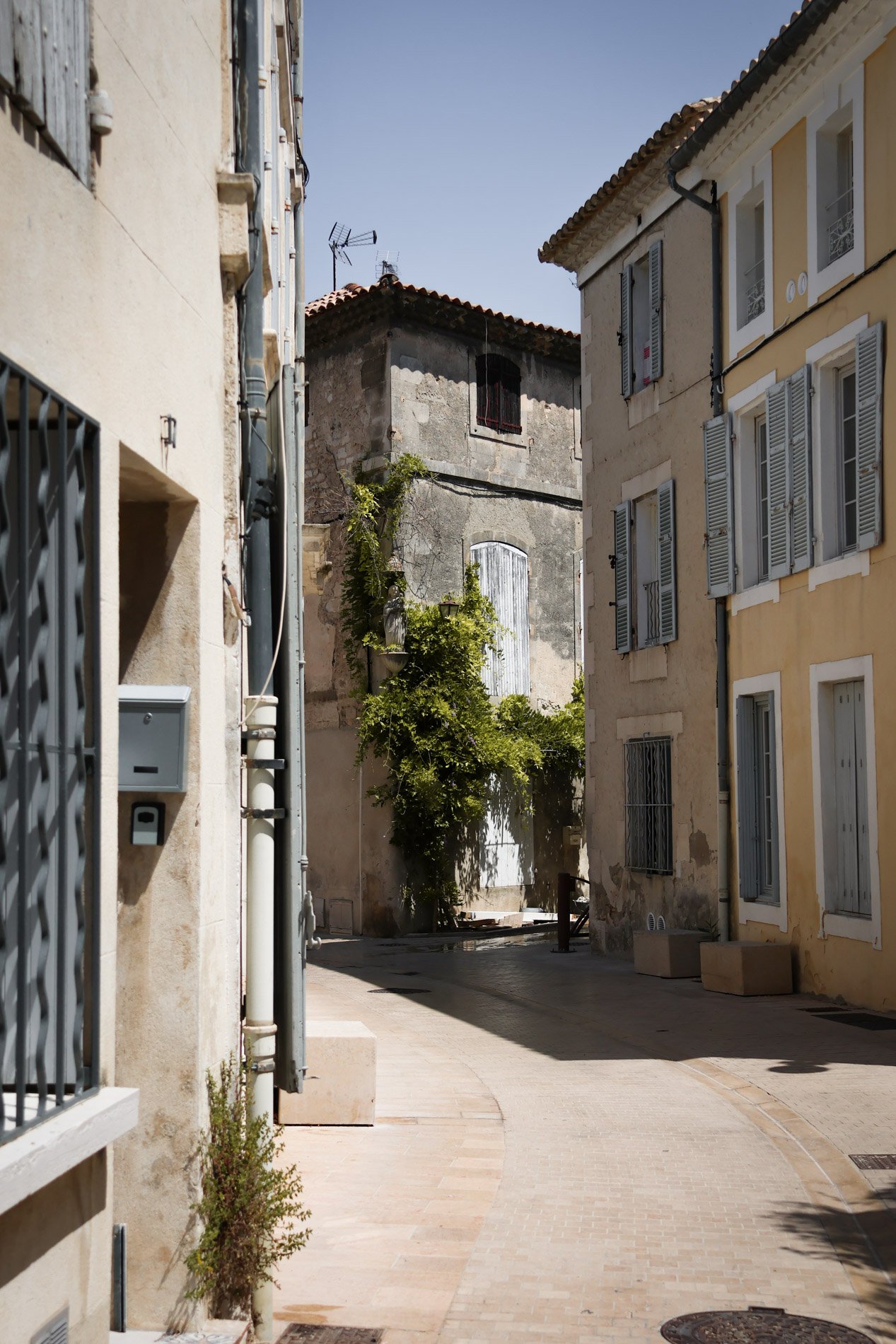 ST REMY DE PROVENCE  - carnet sauvage-35.jpg