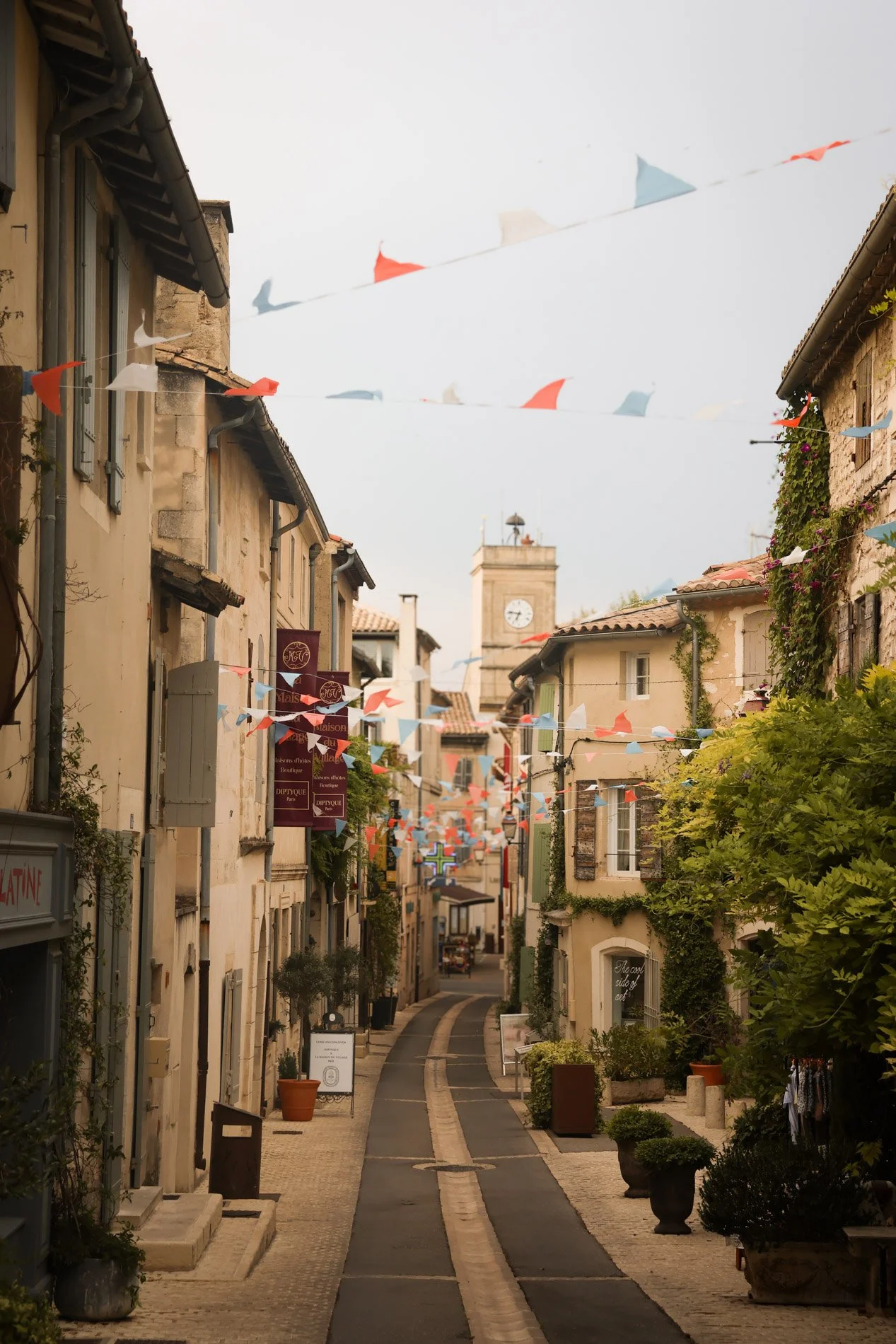 ST REMY DE PROVENCE  - carnet sauvage.jpg