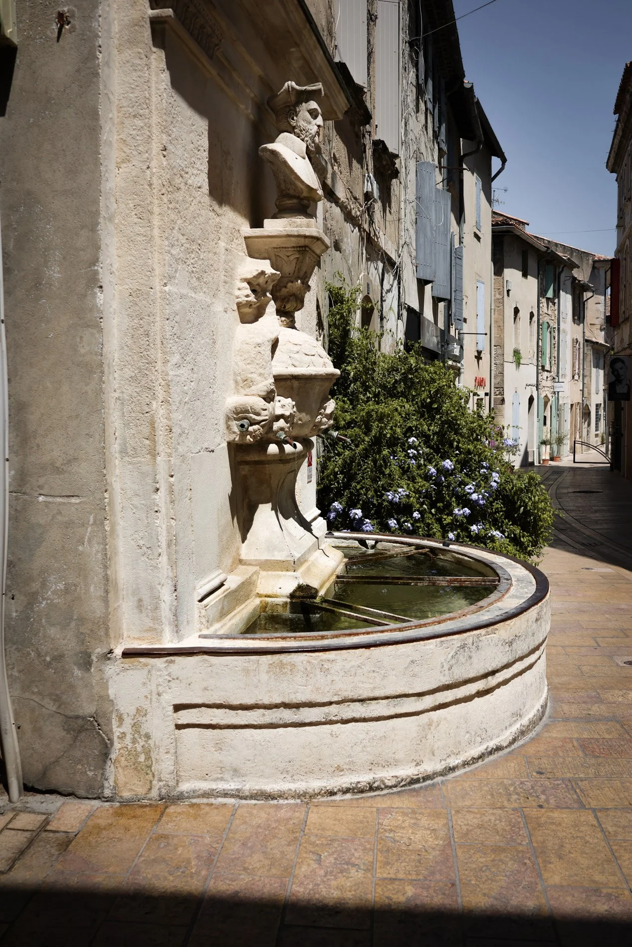 ST REMY DE PROVENCE  - carnet sauvage-31.jpg