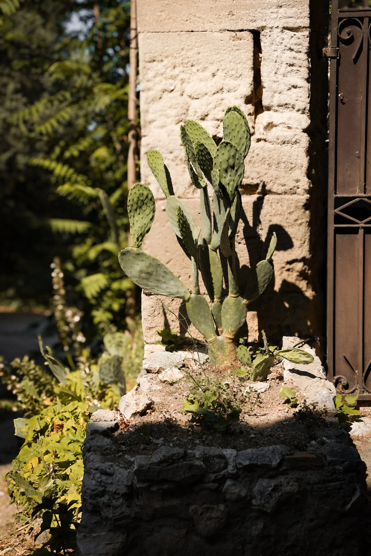 eygalieres - carnet sauvage-14.jpg