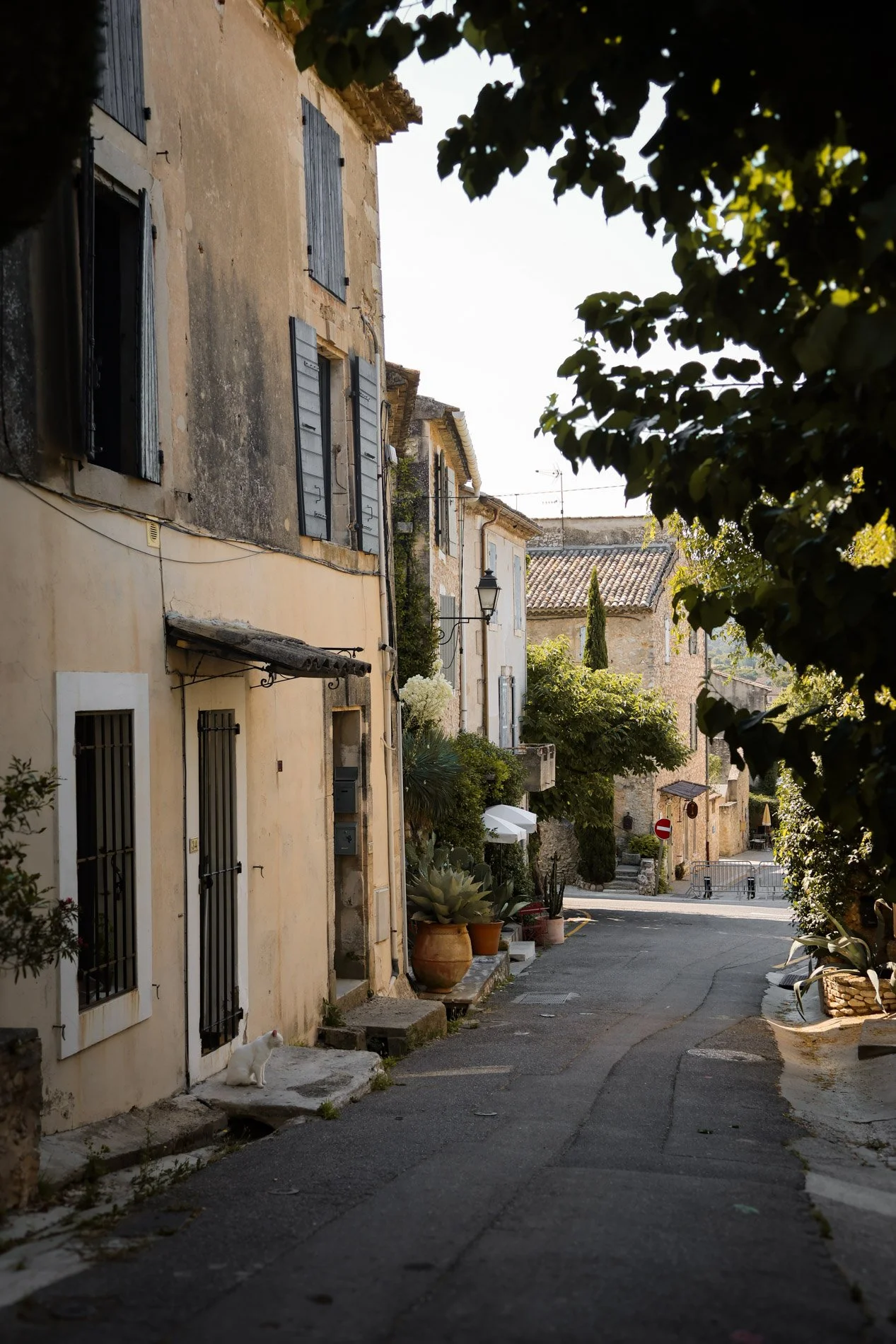 eygalieres - carnet sauvage-37.jpg