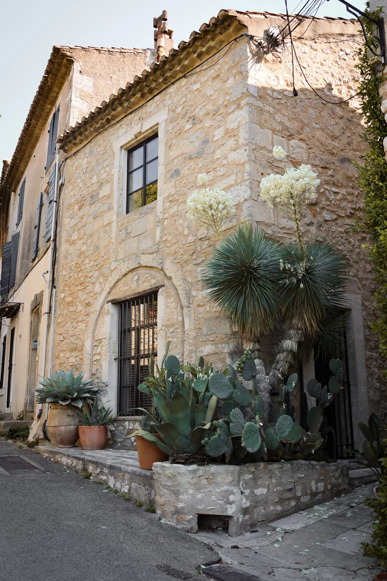 eygalieres - carnet sauvage-43.jpg