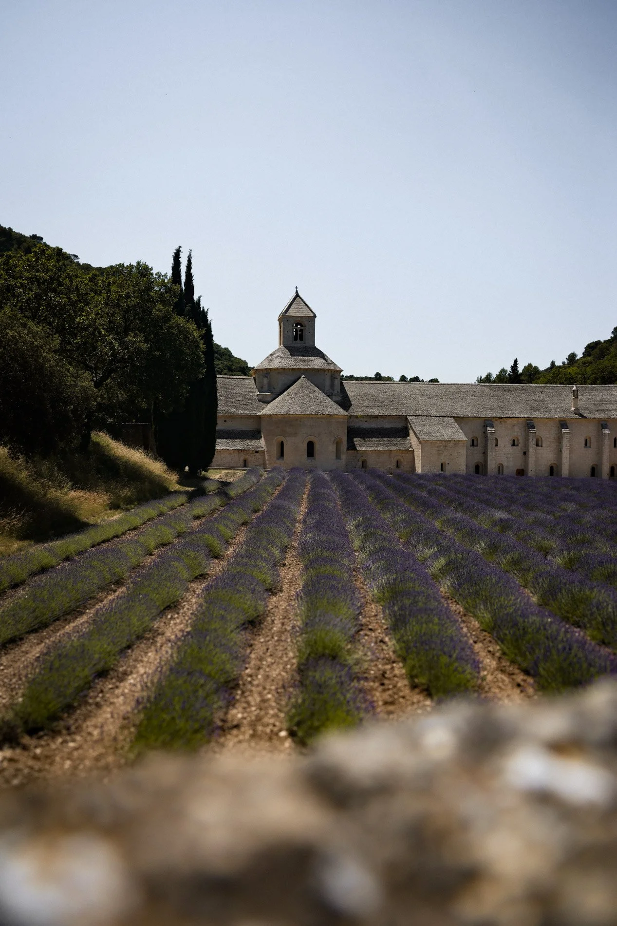 abbaye notre dame de senanque - carnet sauvage-3.jpg