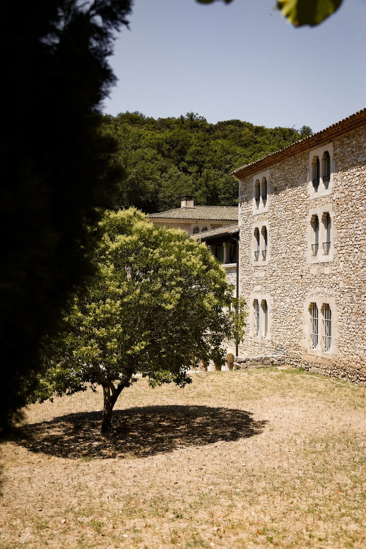 abbaye notre dame de senanque - carnet sauvage-7.jpg