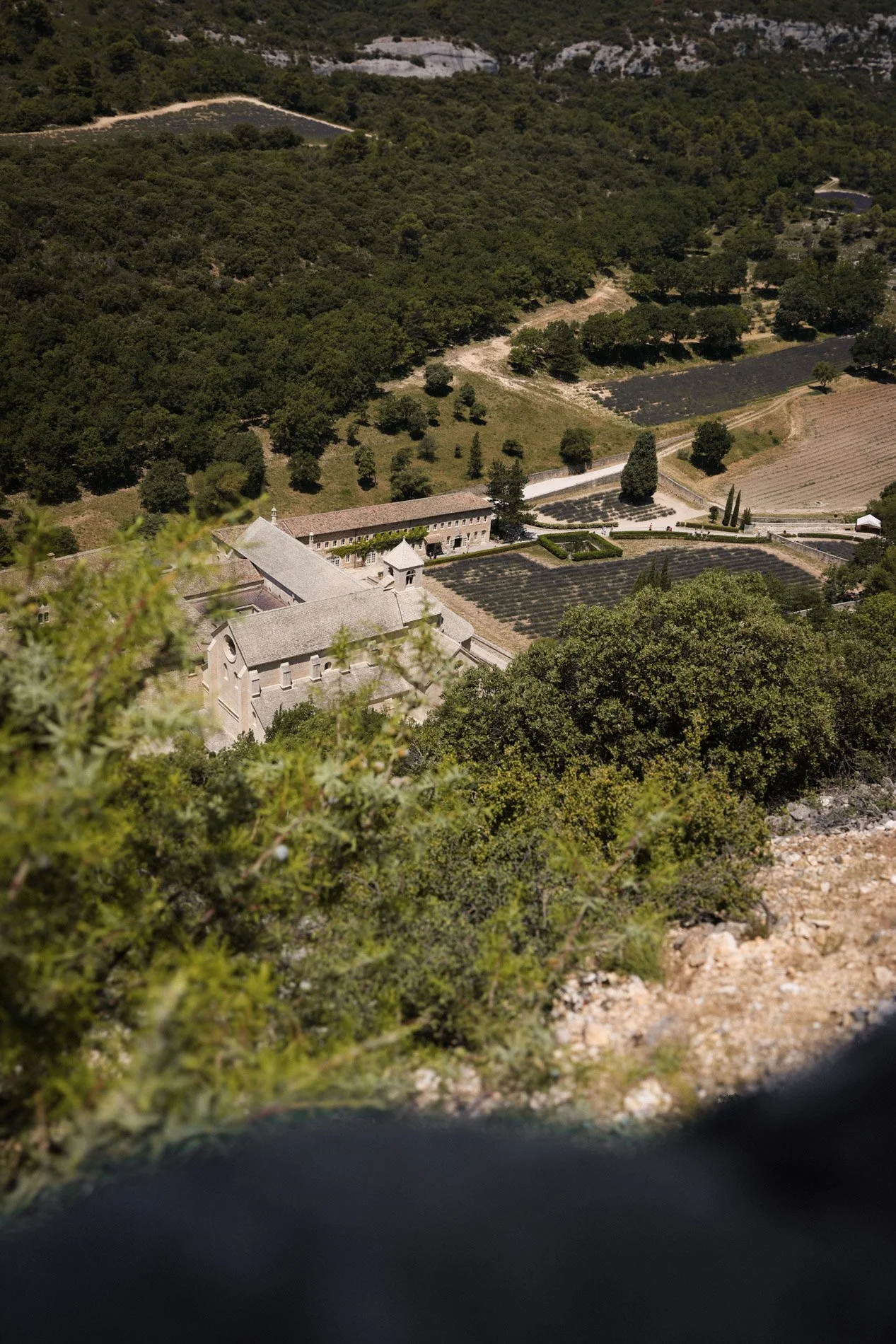 abbaye notre dame de senanque - carnet sauvage-16.jpg