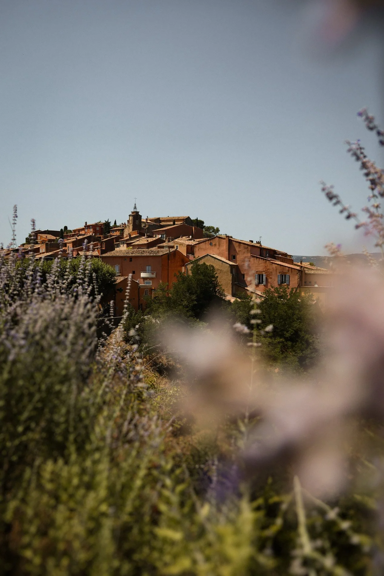 roussillon - carnet sauvage-3.jpg