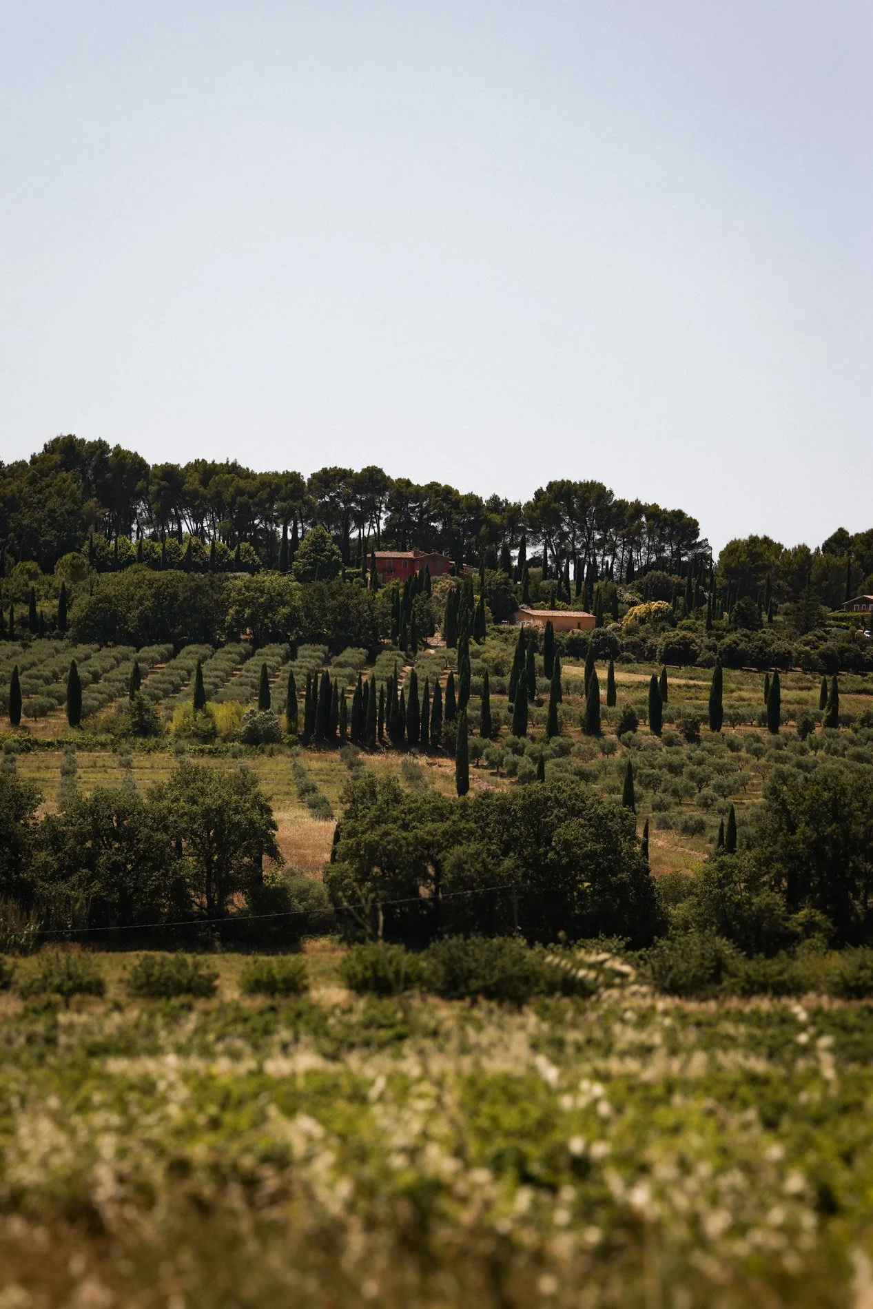 roussillon - carnet sauvage-44.jpg
