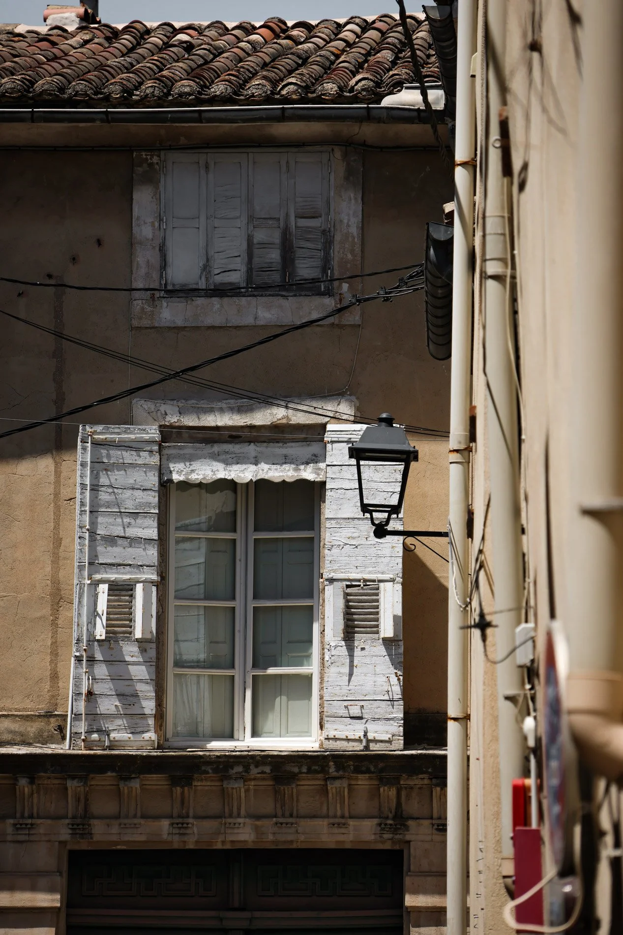 isle sur la sorgue - carnet sauvage-3.jpg